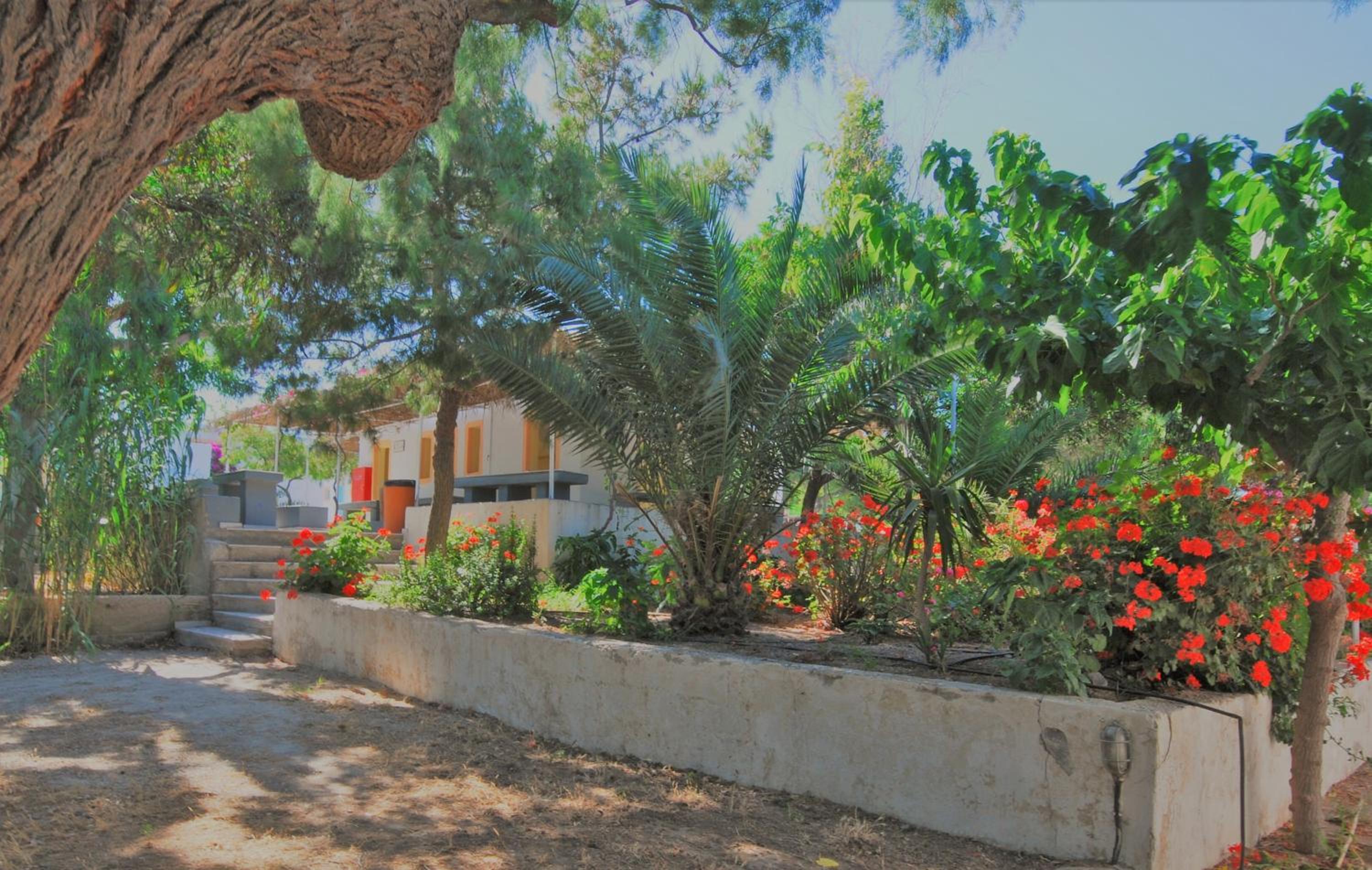 Santorini Camping & Hostel
