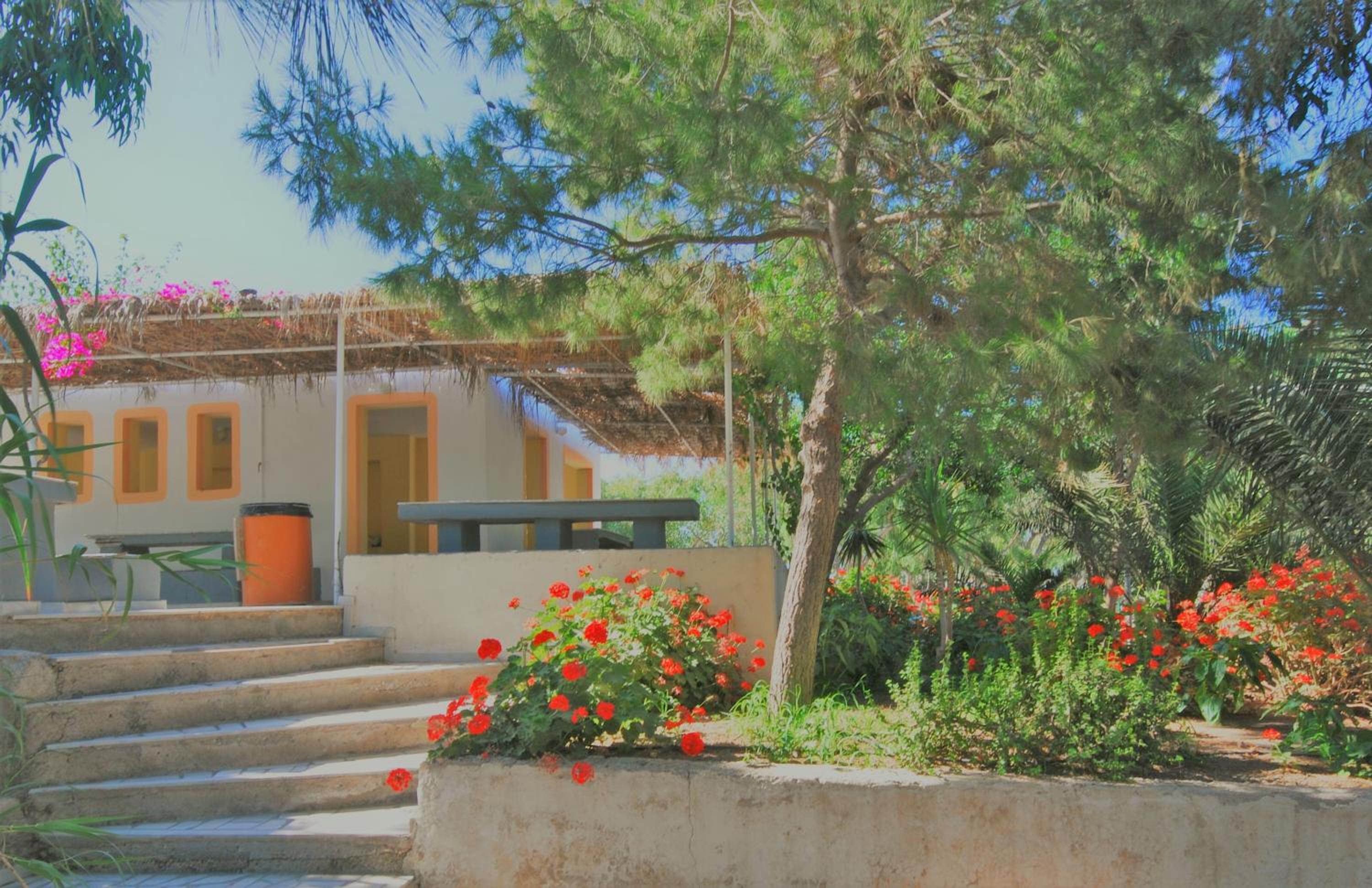 Santorini Camping & Hostel