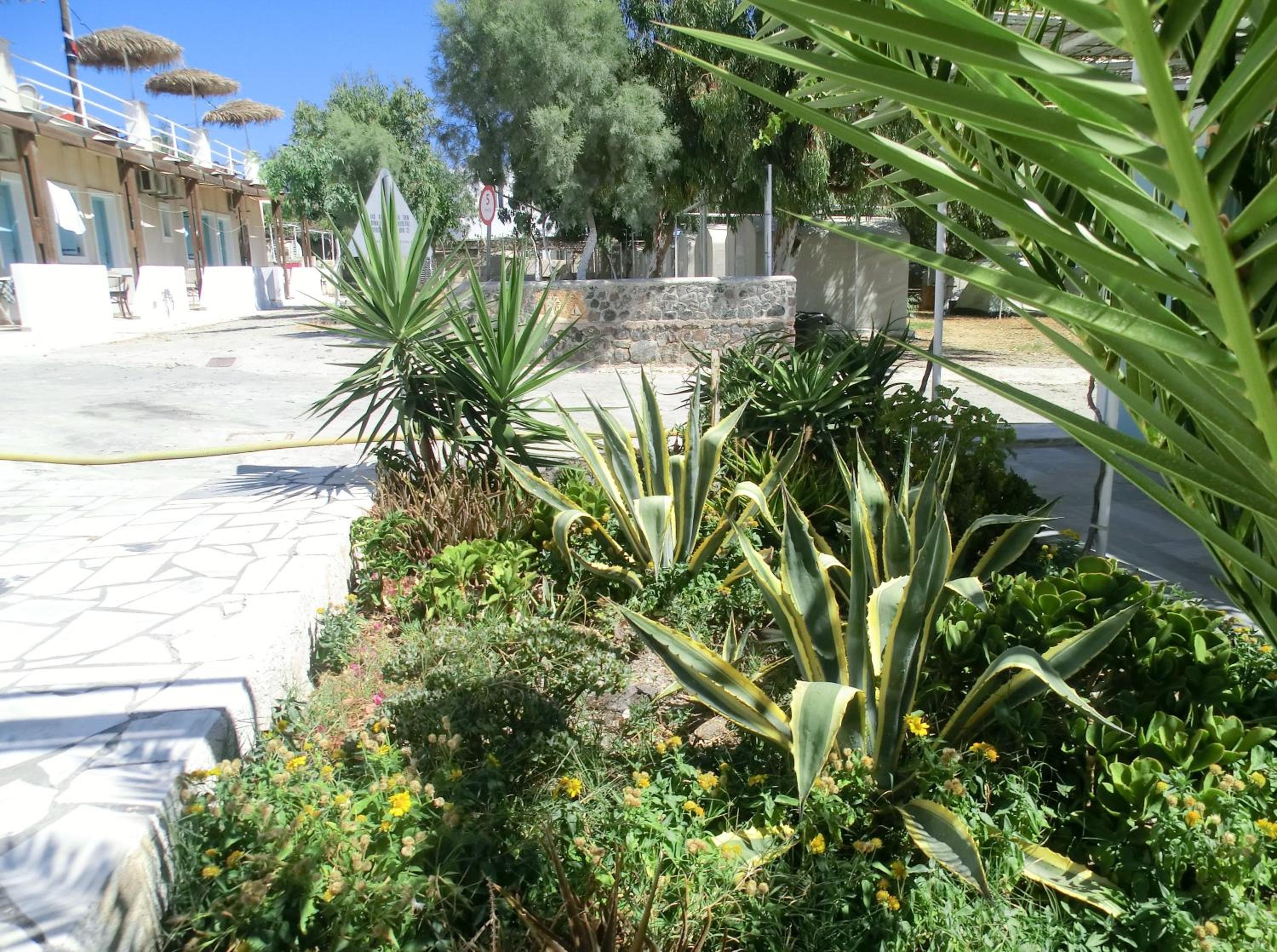Santorini Camping & Hostel