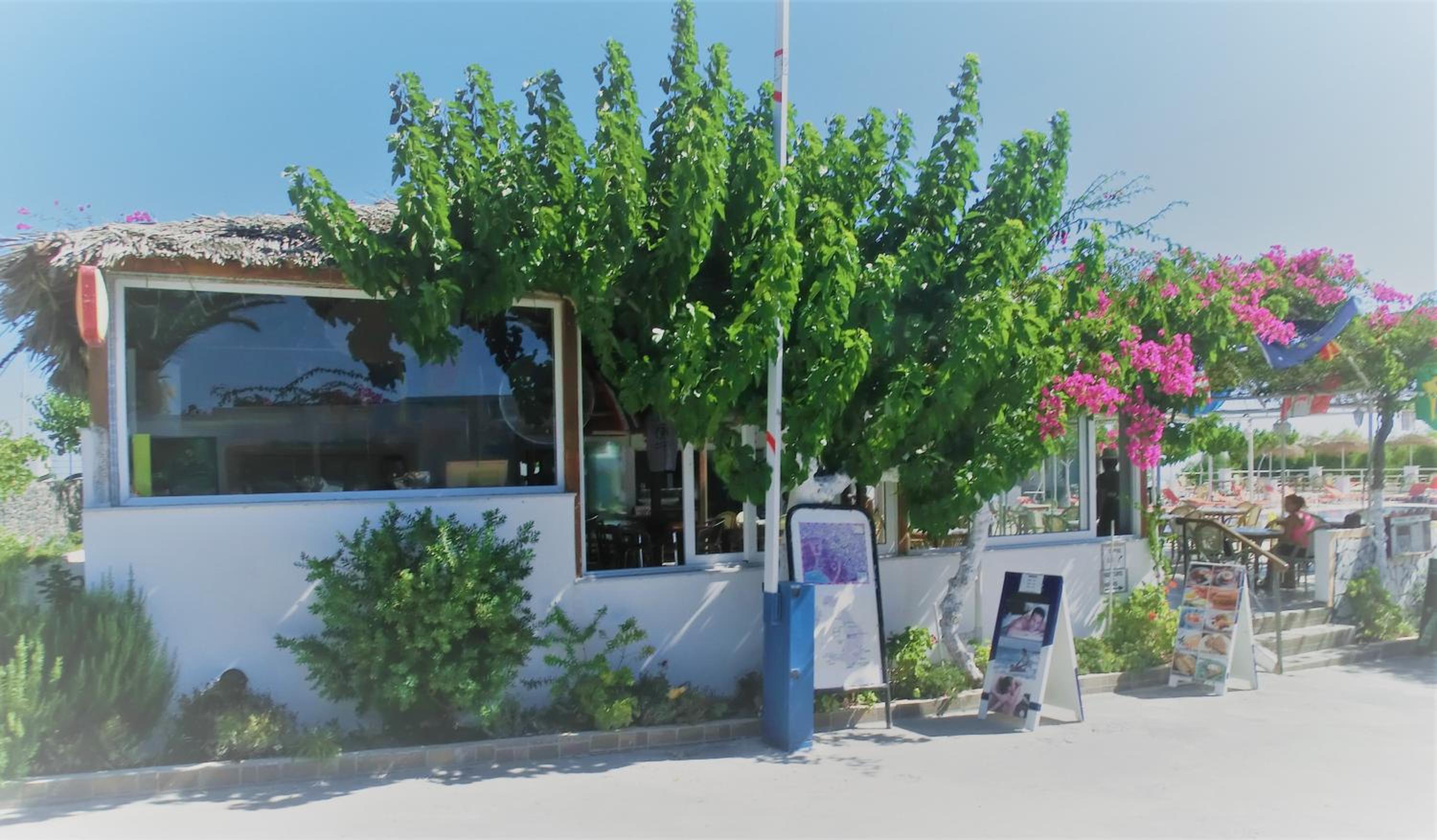 Santorini Camping & Hostel