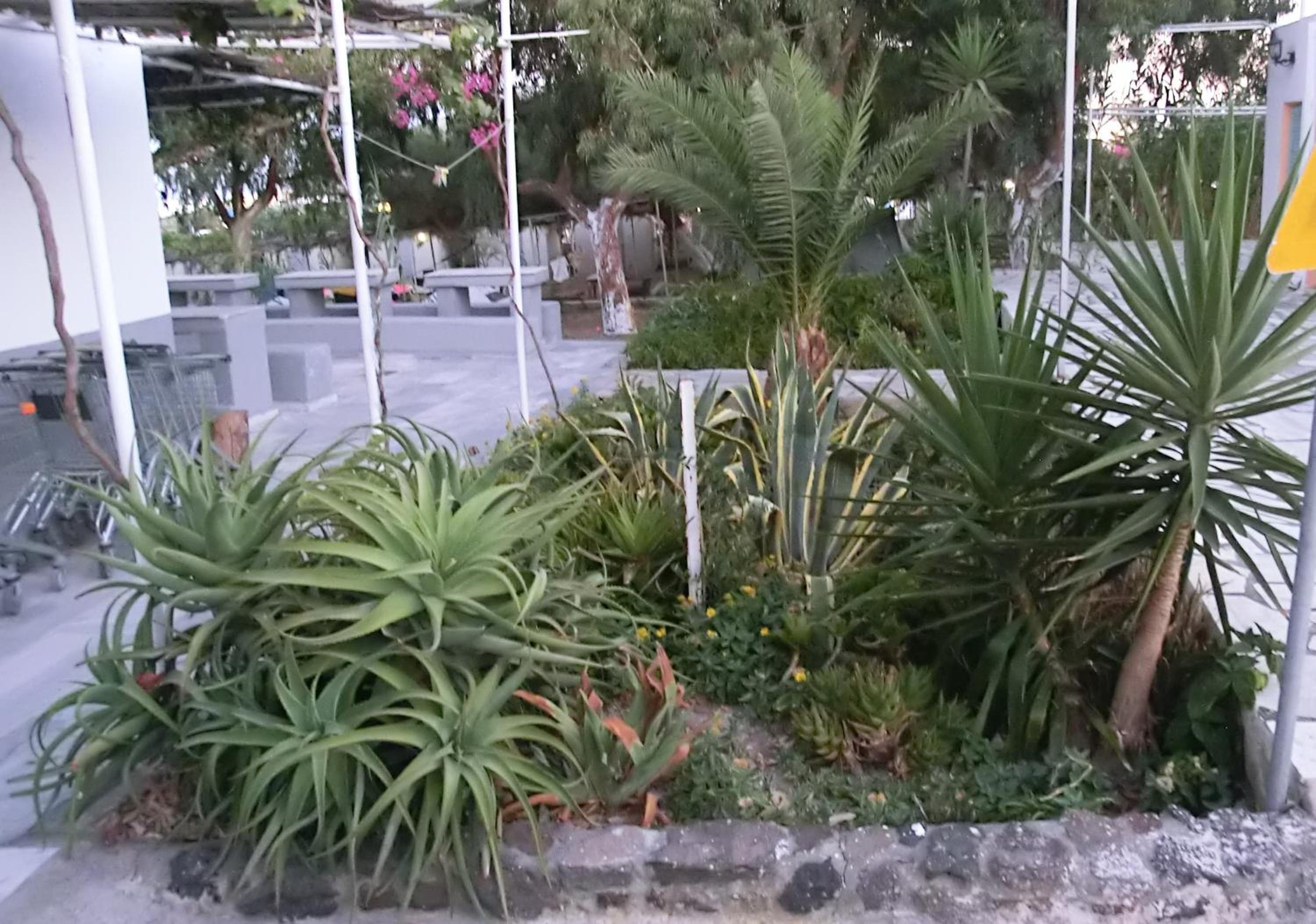 Santorini Camping & Hostel