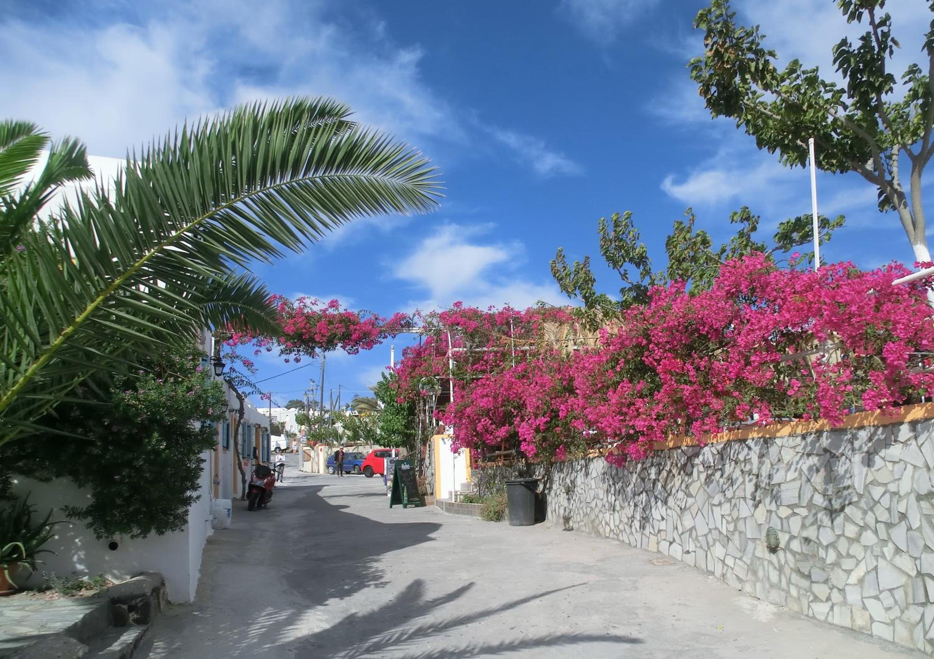 Santorini Camping & Hostel