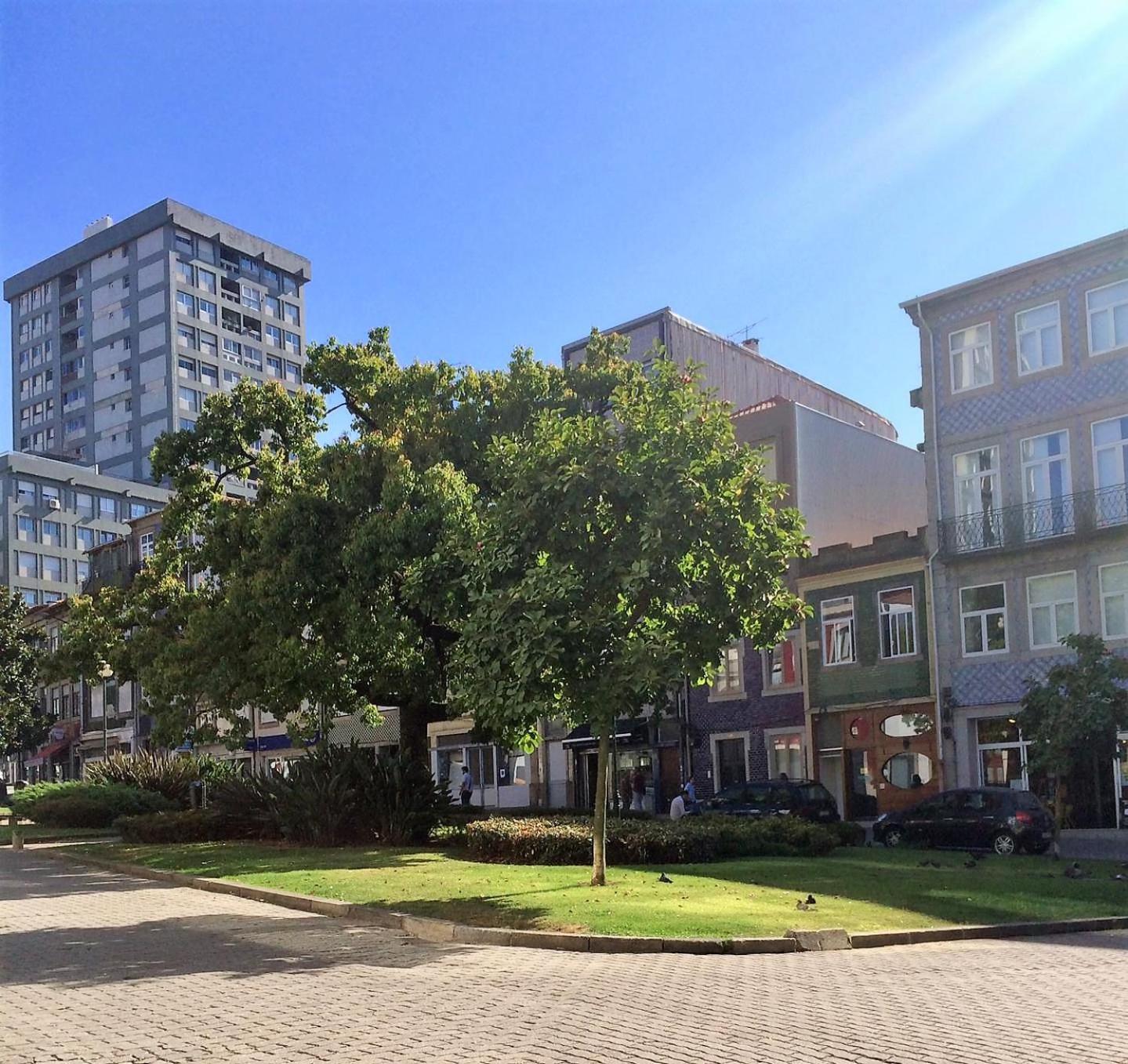 Downtown Porto Relaxed Apartment with Private Yard view 4