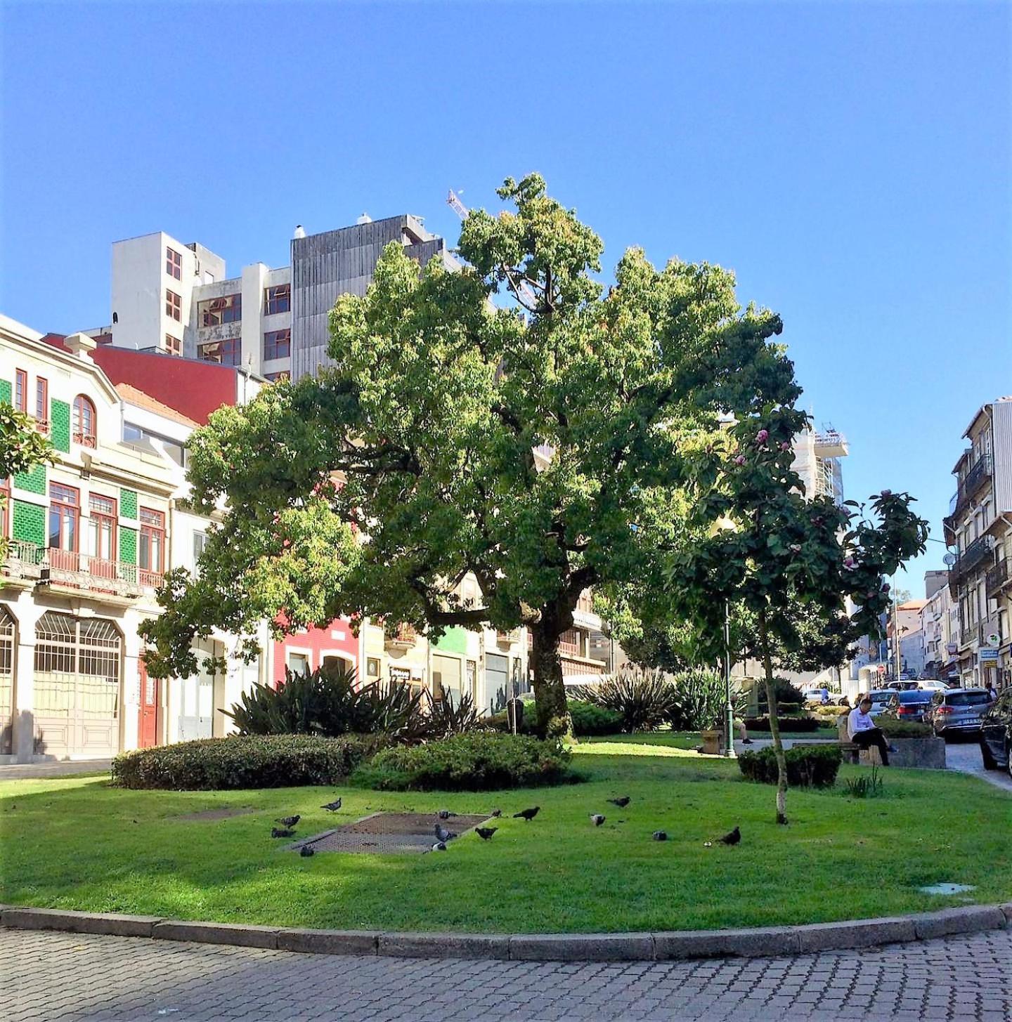 Downtown Porto Relaxed Apartment with Private Yard view 3