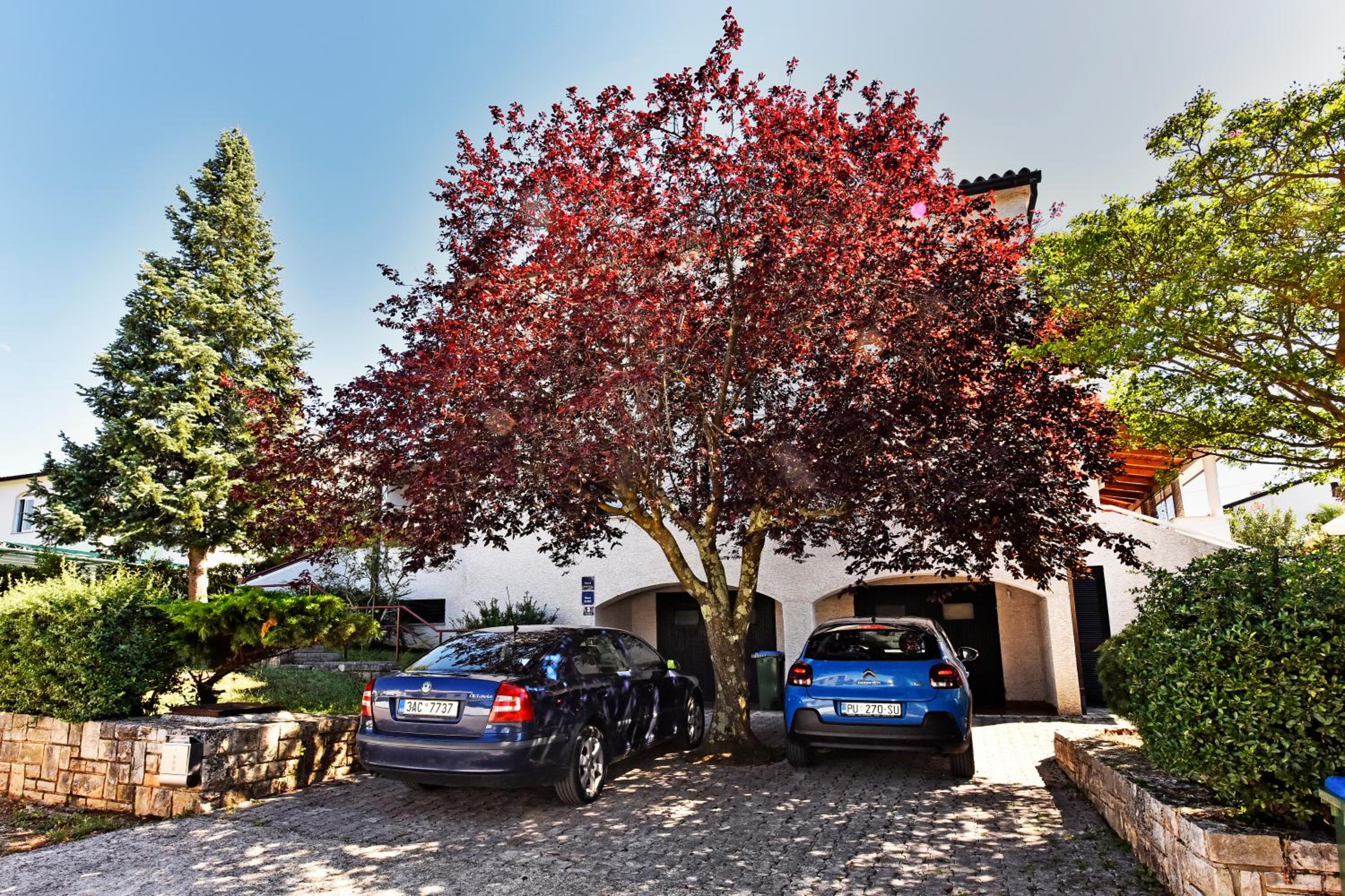 Apartment Nikola - Property Image 23