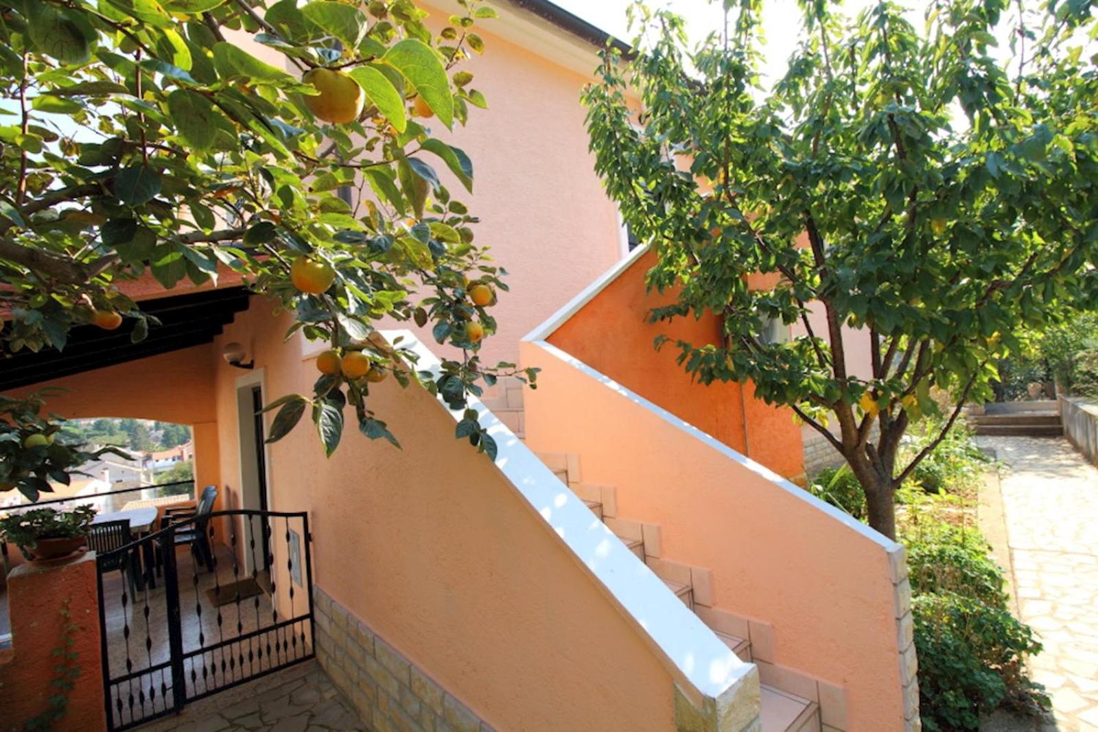 Apartmani Nadalina view 3