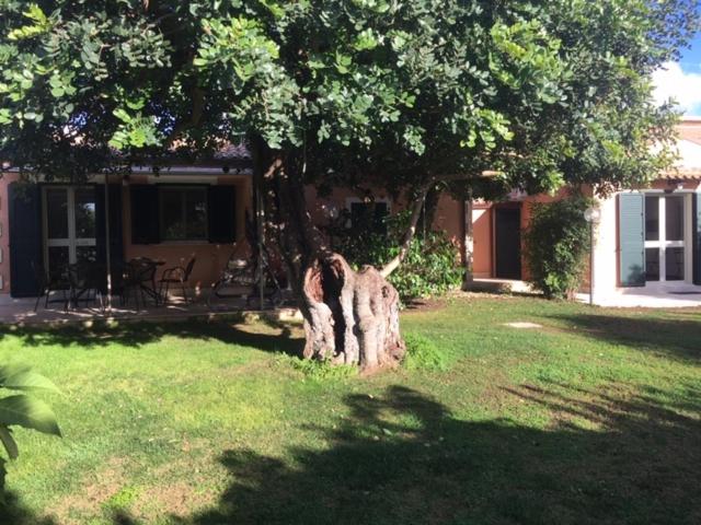 Karrua House photo 4