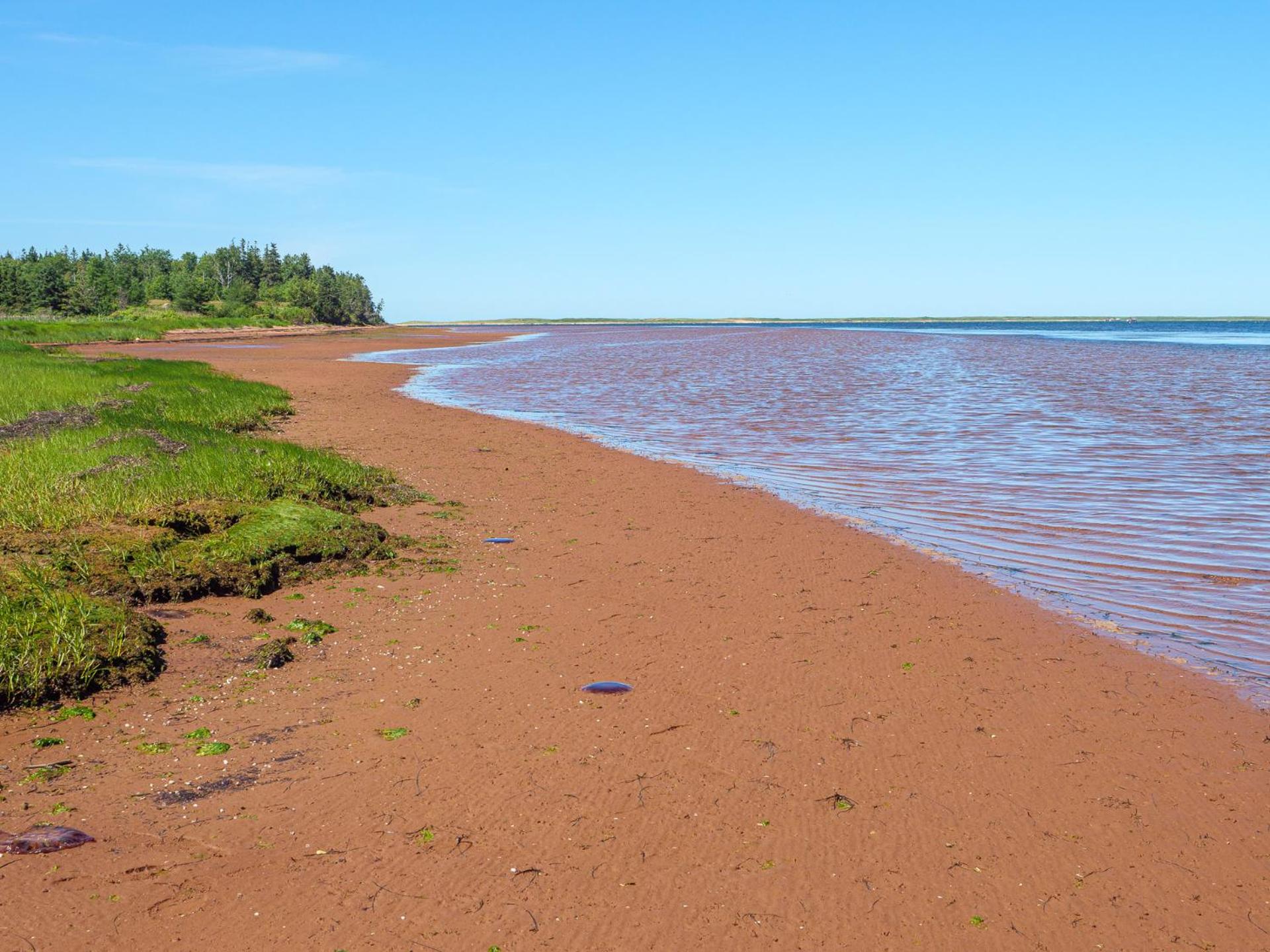 Tracadie Cottages