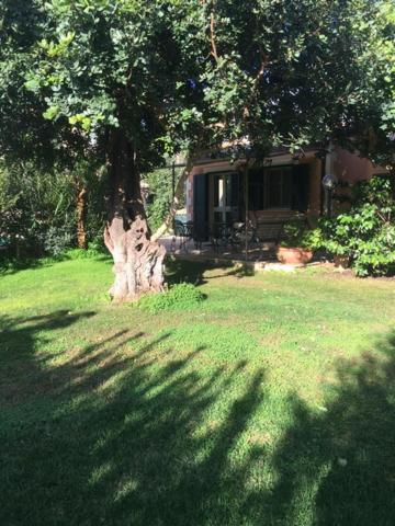 Karrua House photo 3