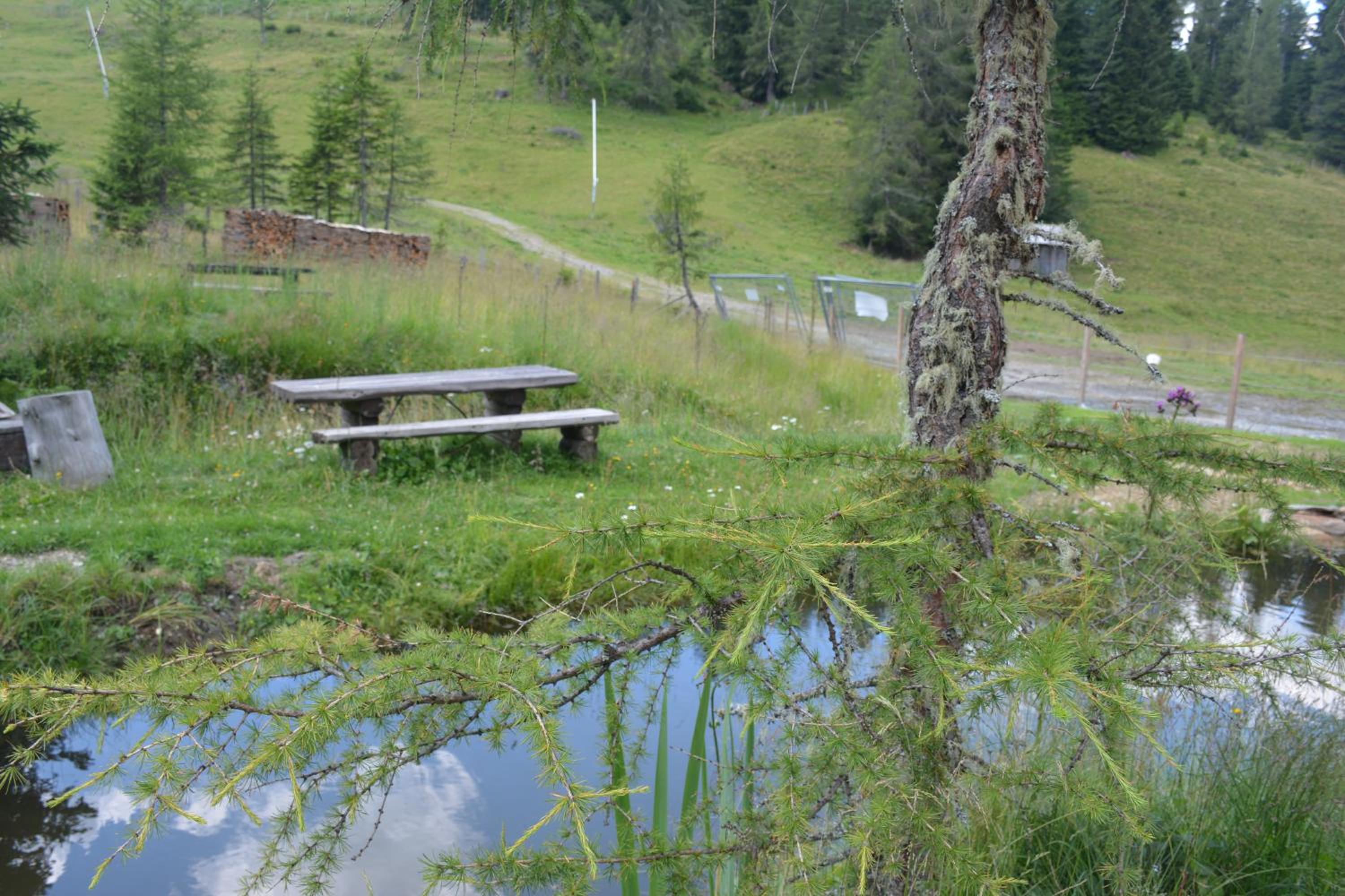 Marktlhütte