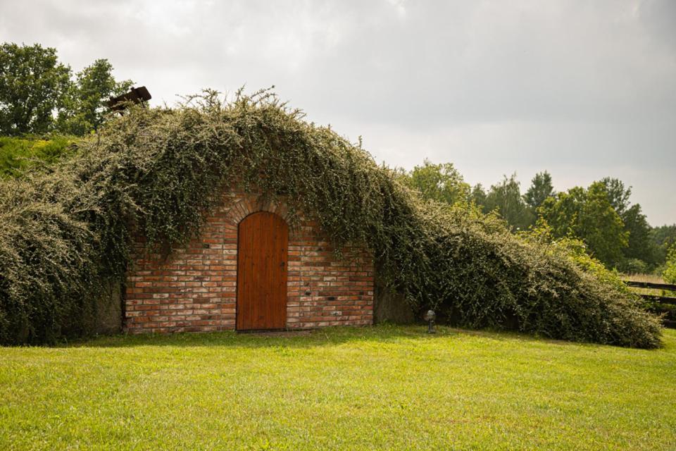Photo 26