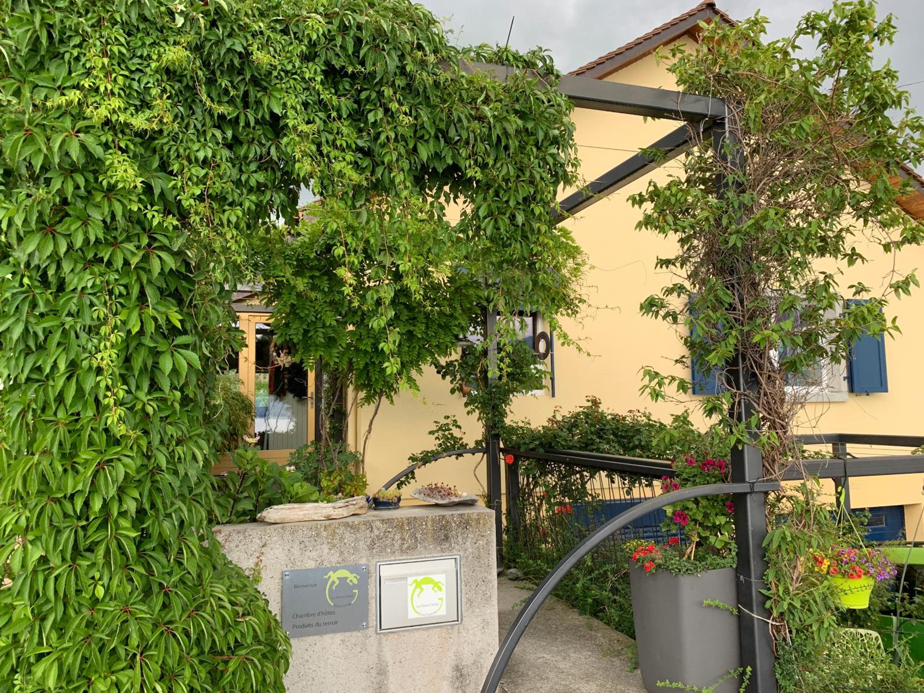 Photo 17