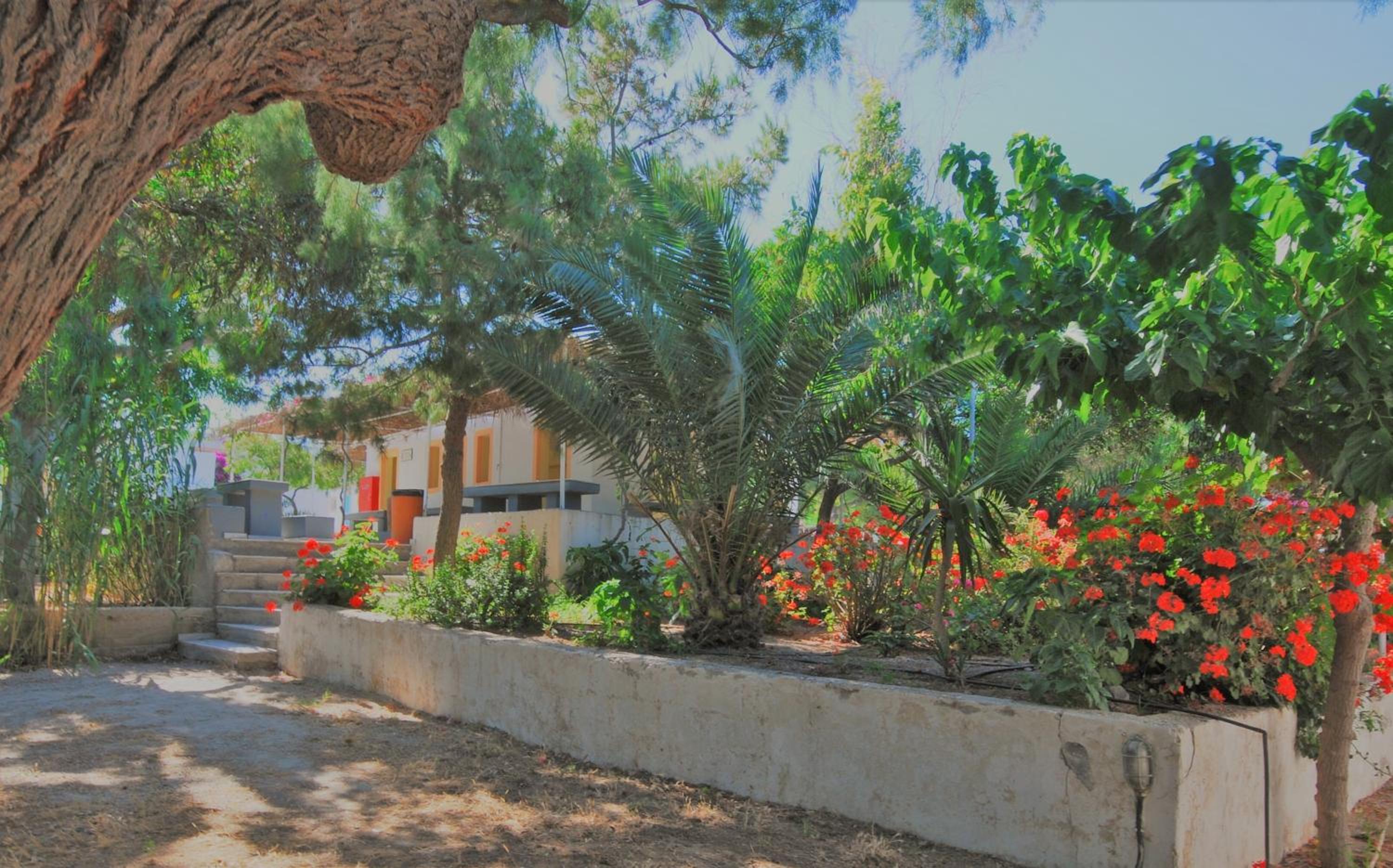 Santorini Camping & Hostel