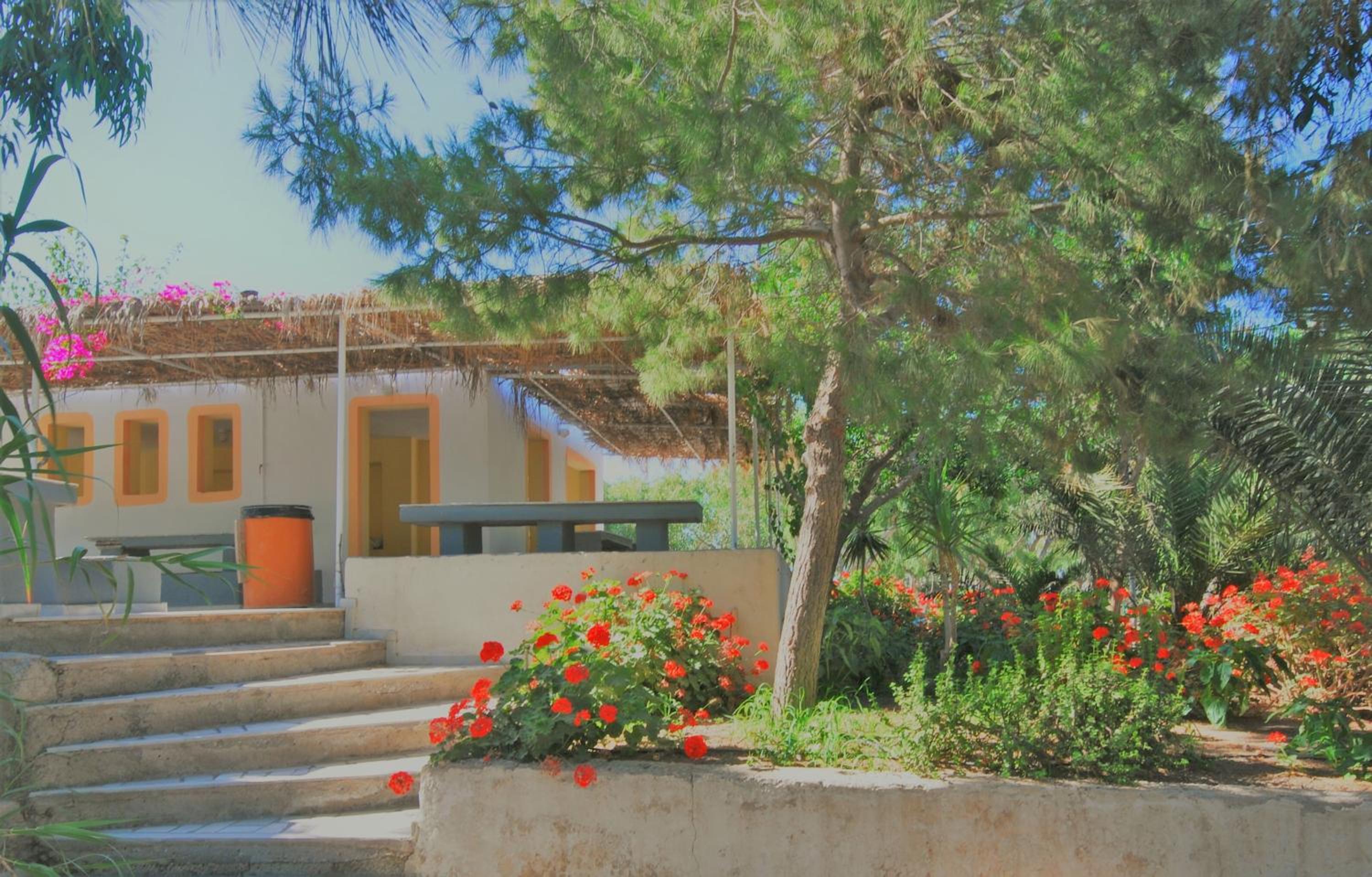 Santorini Camping & Hostel