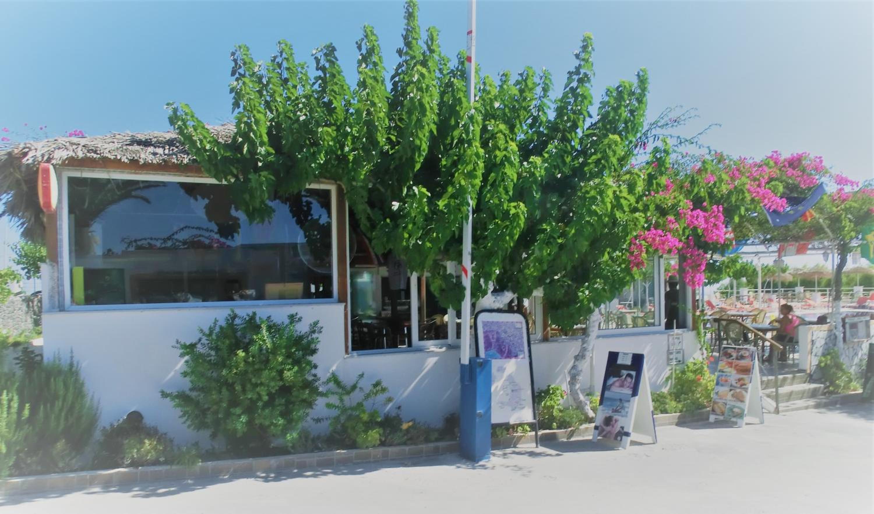 Santorini Camping & Hostel
