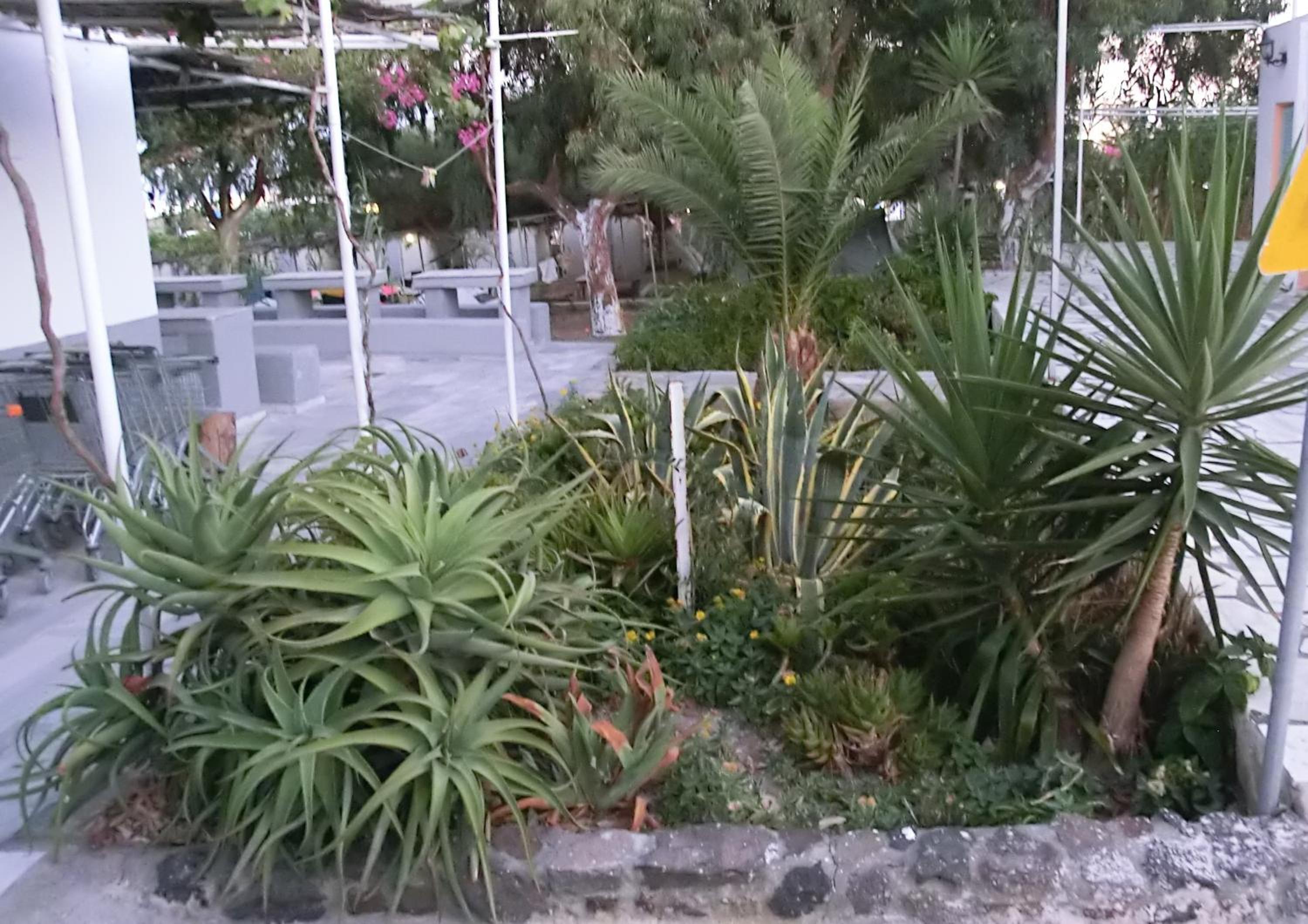 Santorini Camping & Hostel
