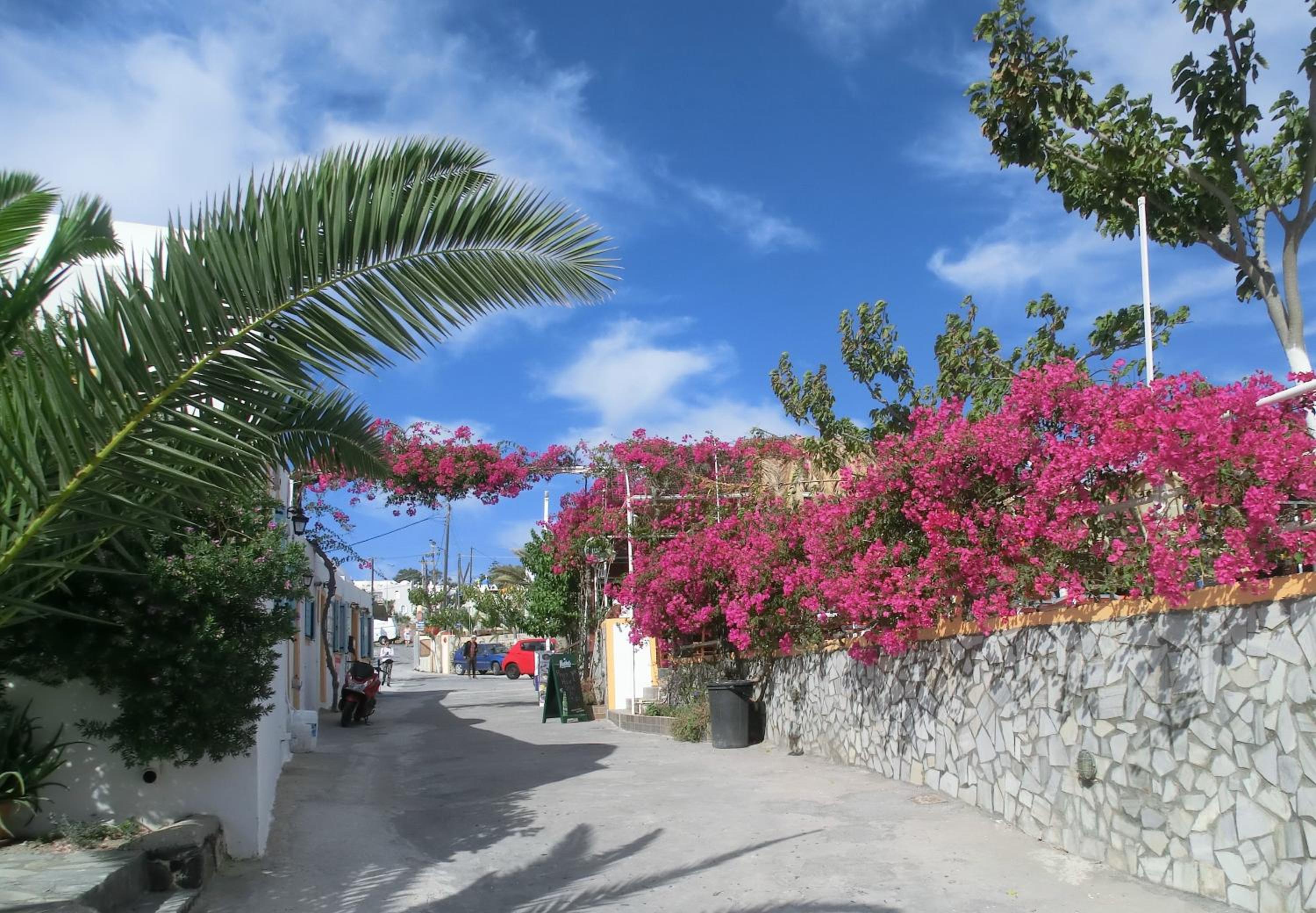 Santorini Camping & Hostel