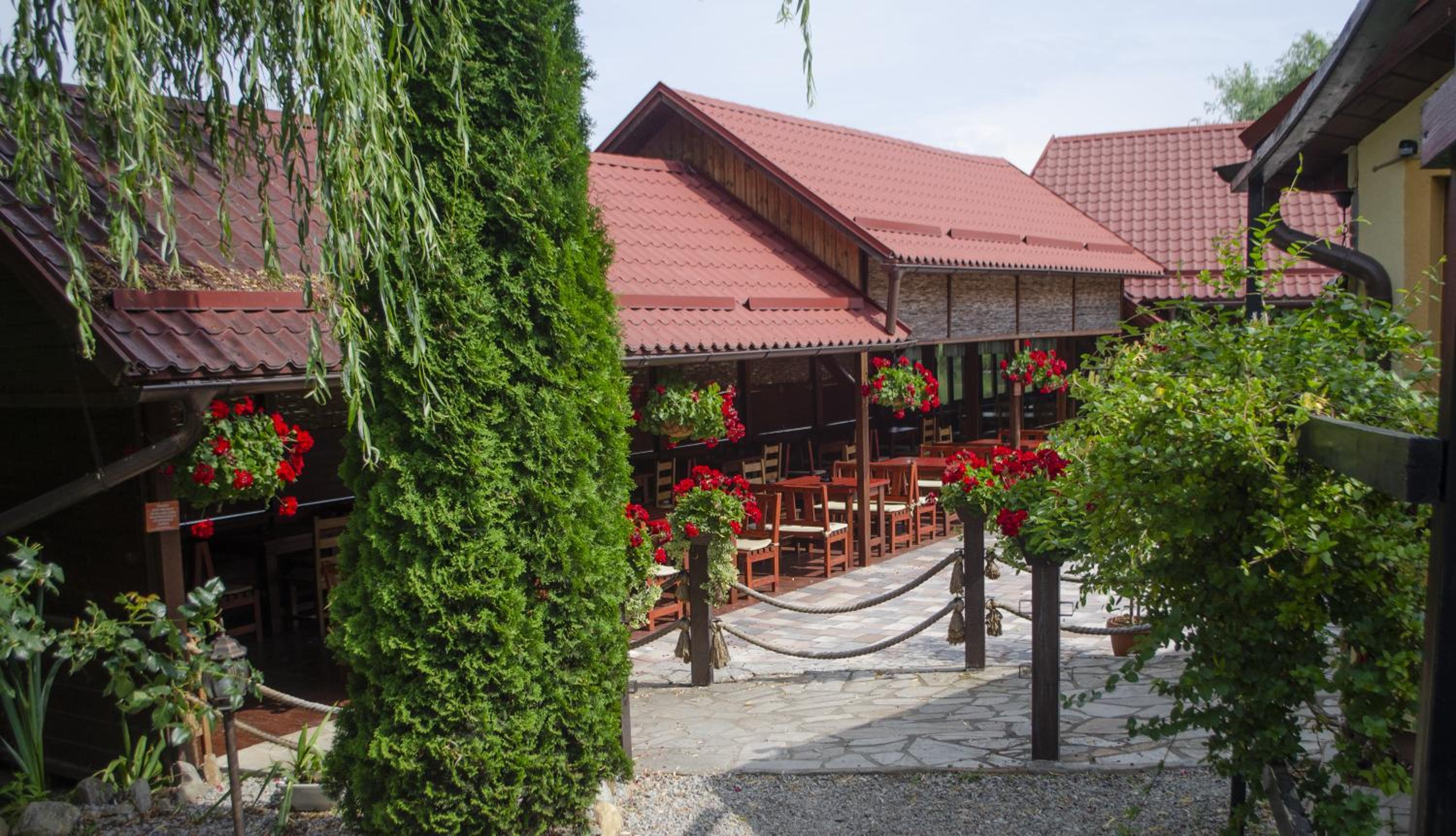 Pensiunea Hubertus view 4