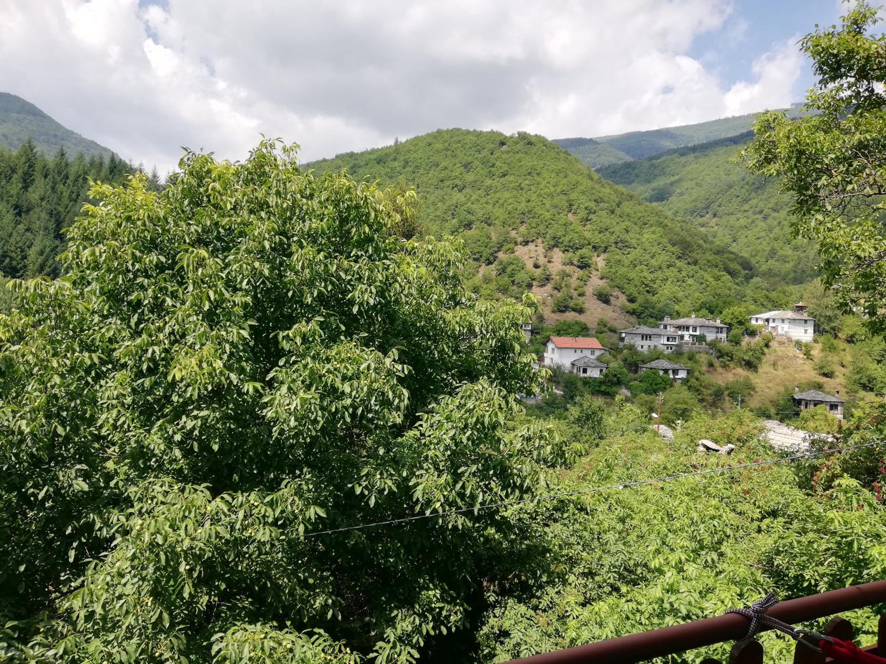GUEST HOUSE ELENA
