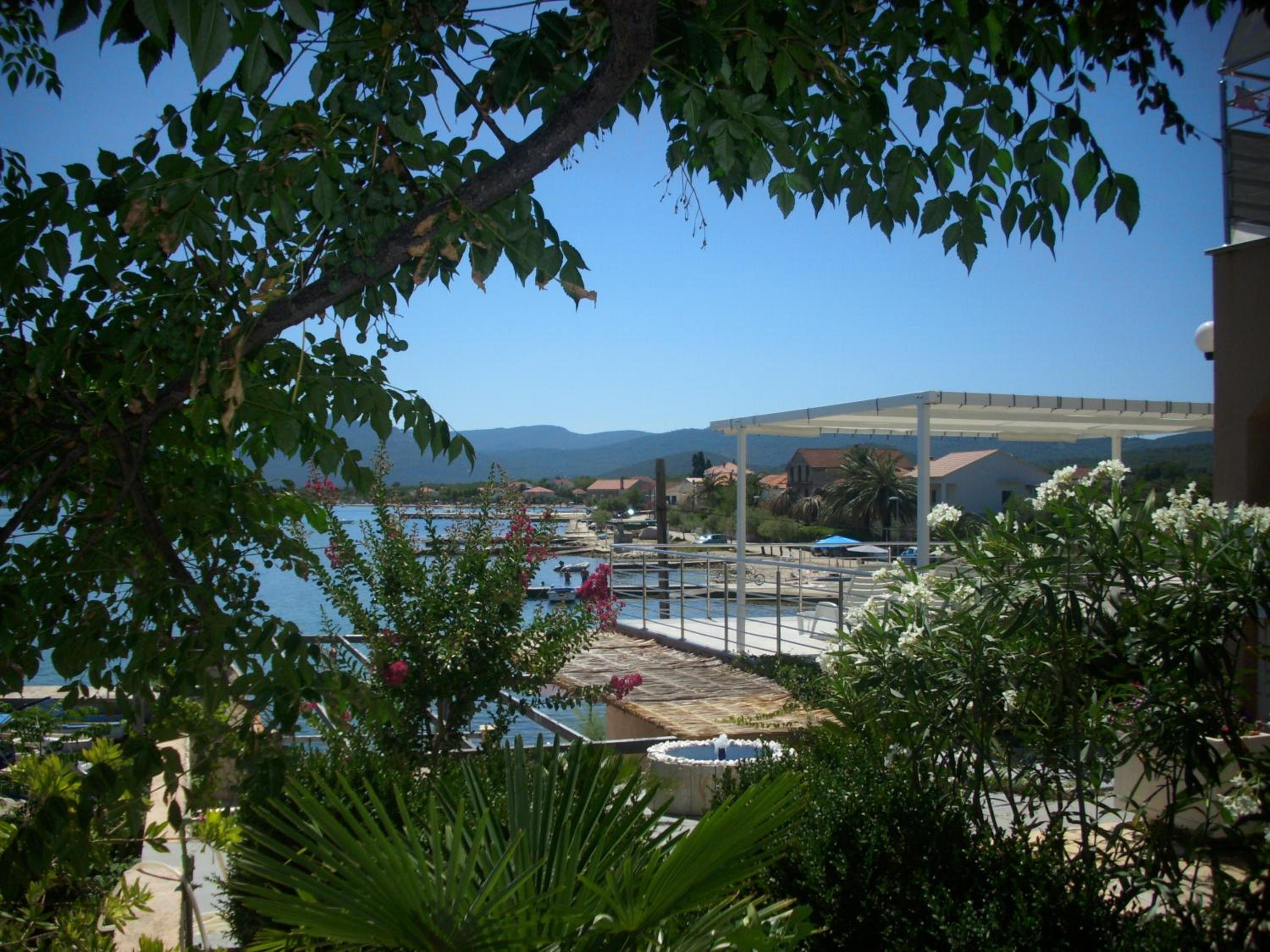 Photo 7