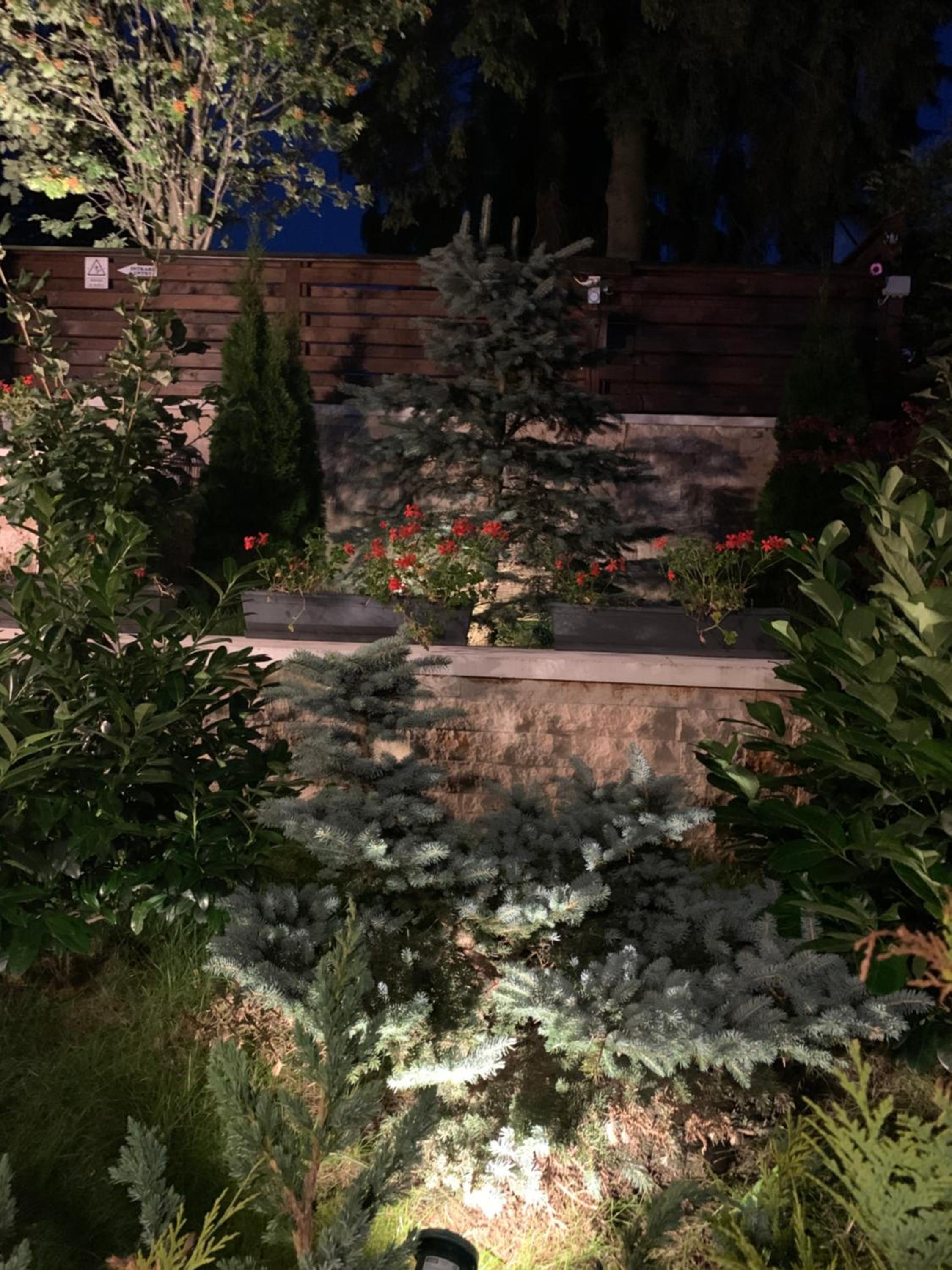 Photo 35