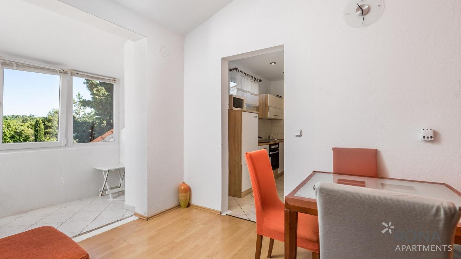 Rona Apartment Ivana view 5