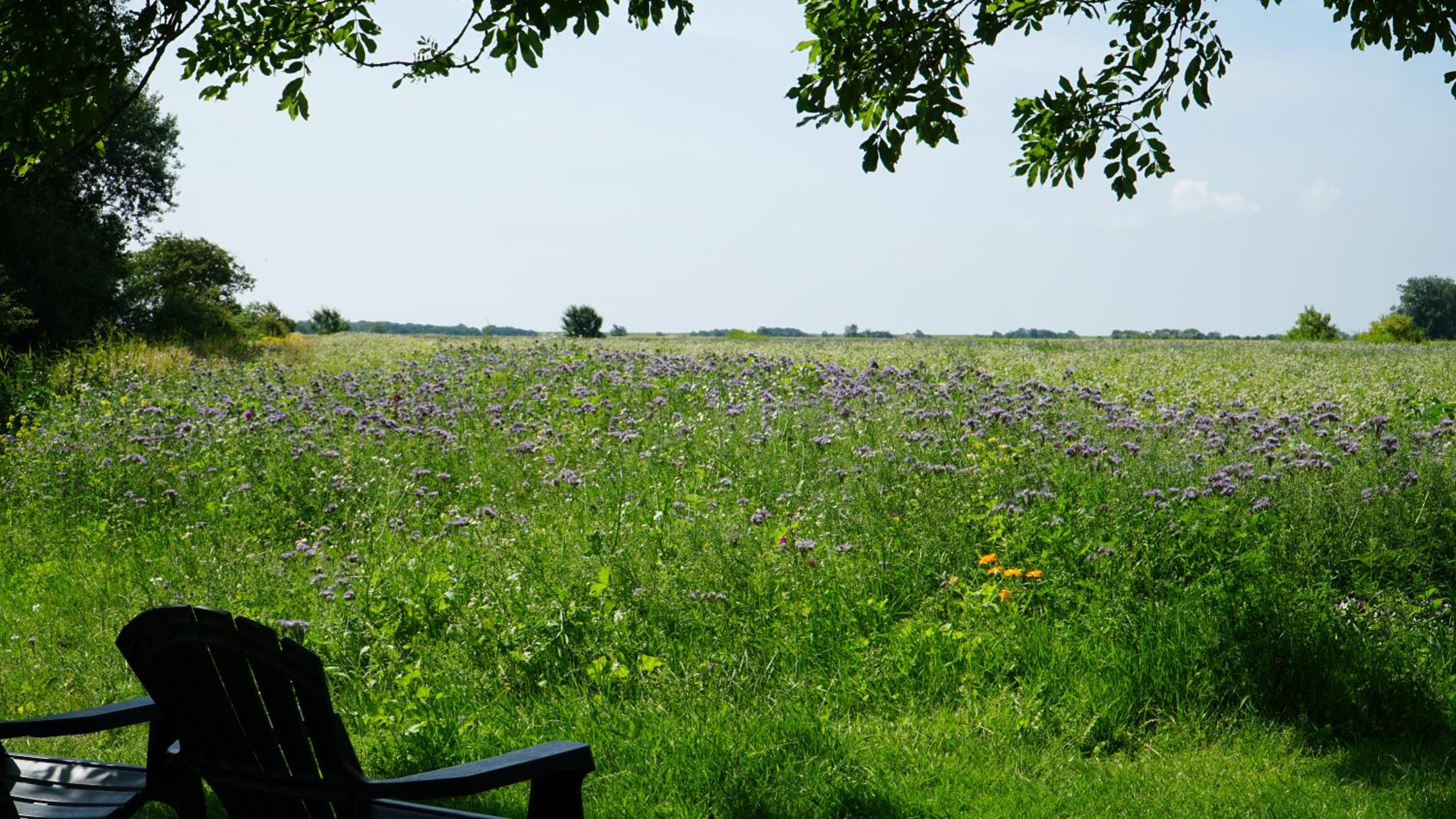 Landhaus Gonnsen view 3