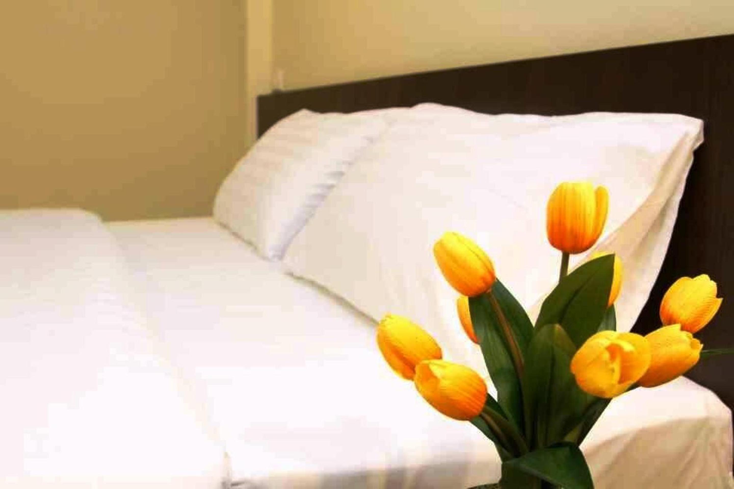 Chiangrai Green Park Resort