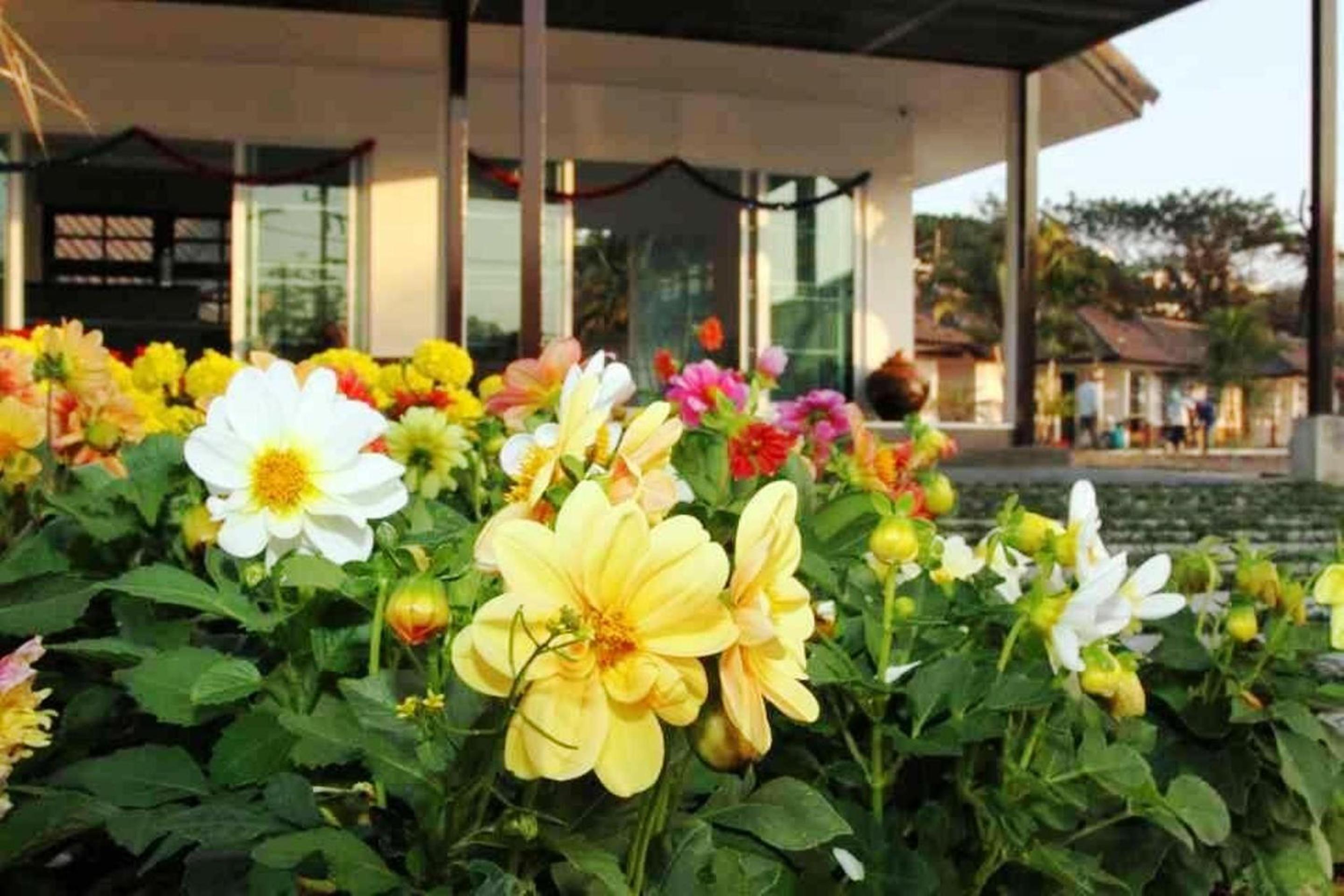 Chiangrai Green Park Resort