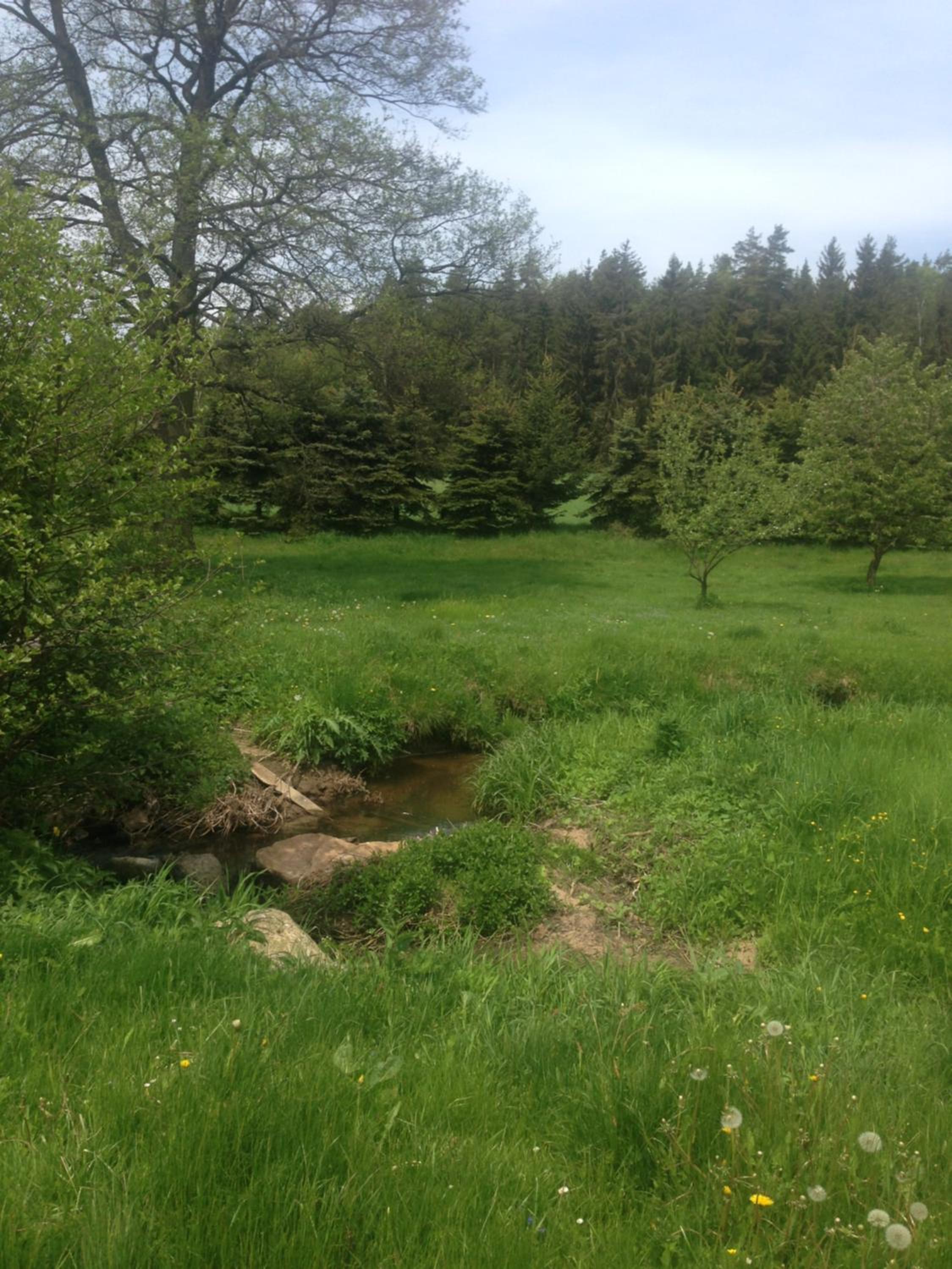 Photo 39
