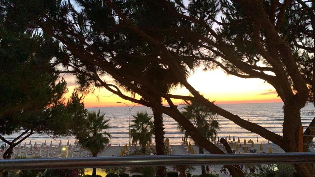Mali i Robit Beachfront Apartment