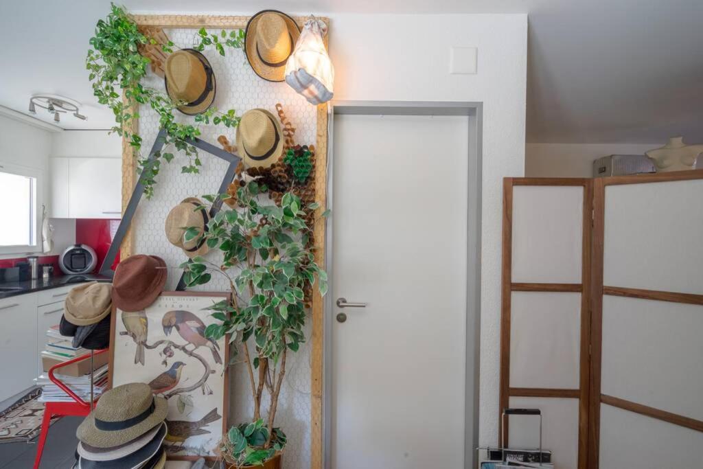 Zurich Apartment I Central Loft