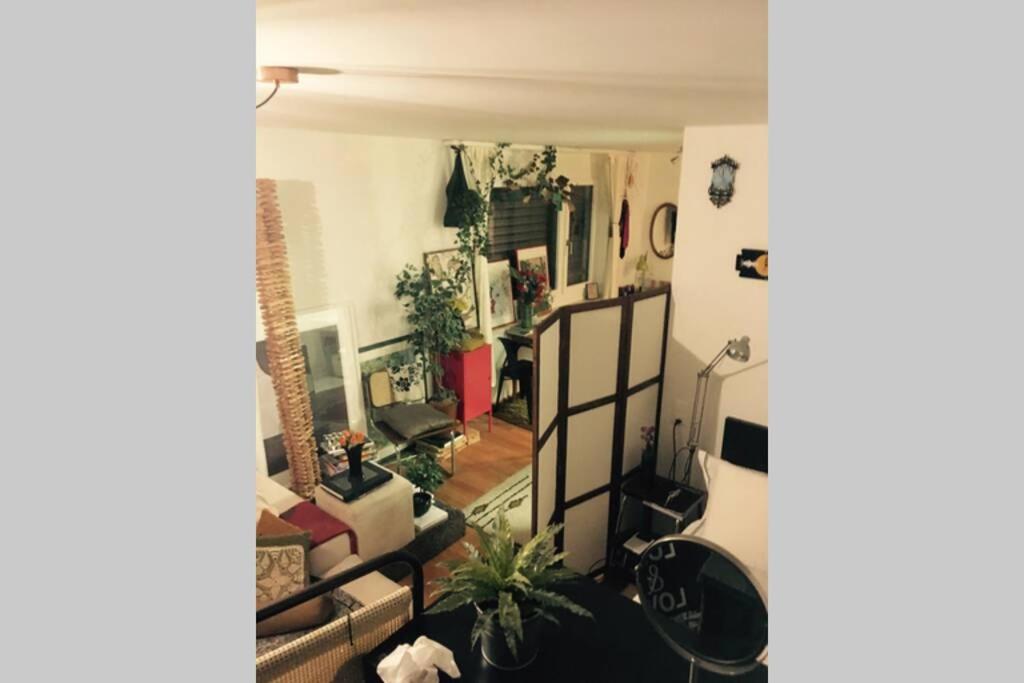 Zurich Apartment I Central Loft