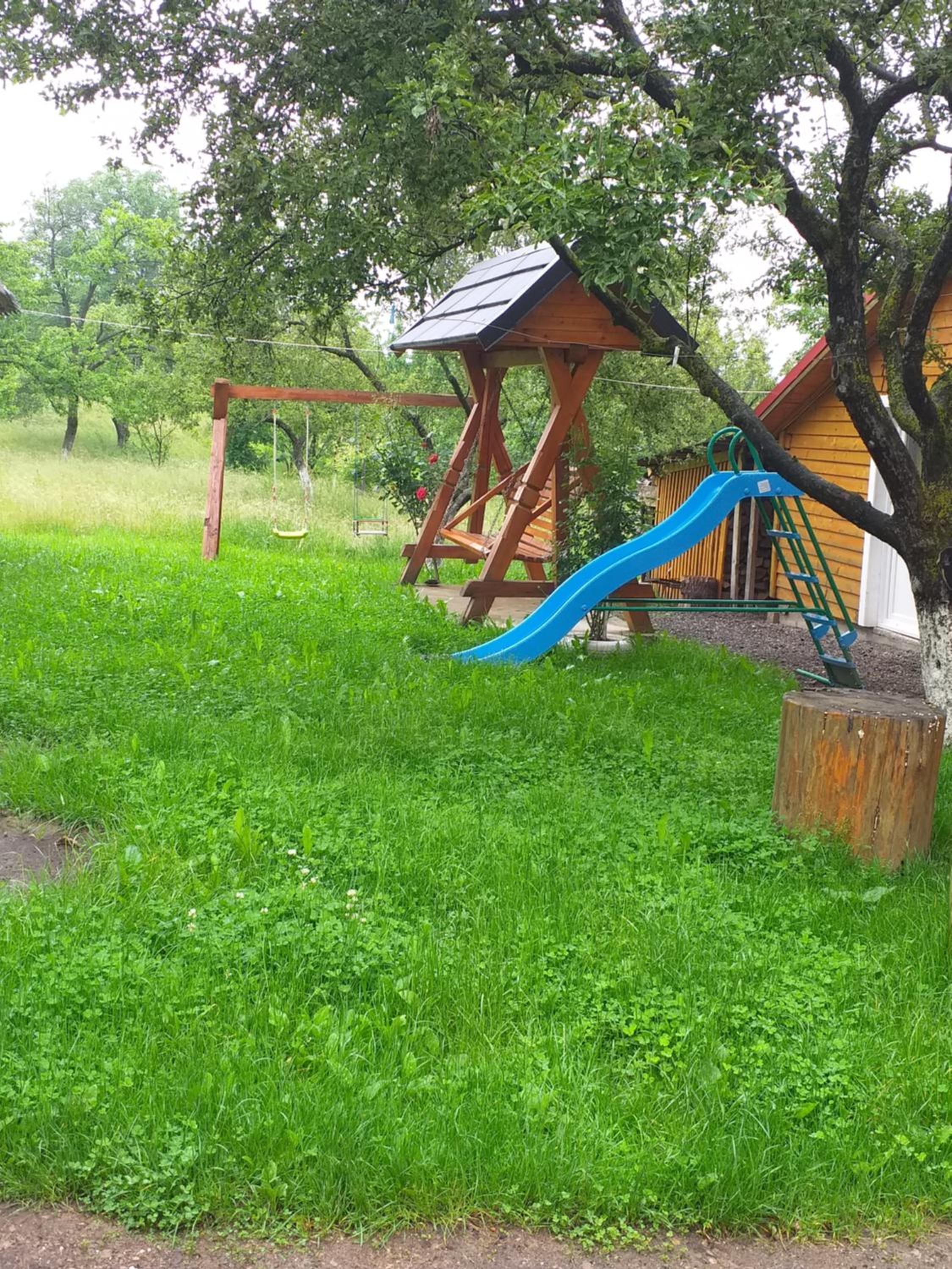 Photo 17