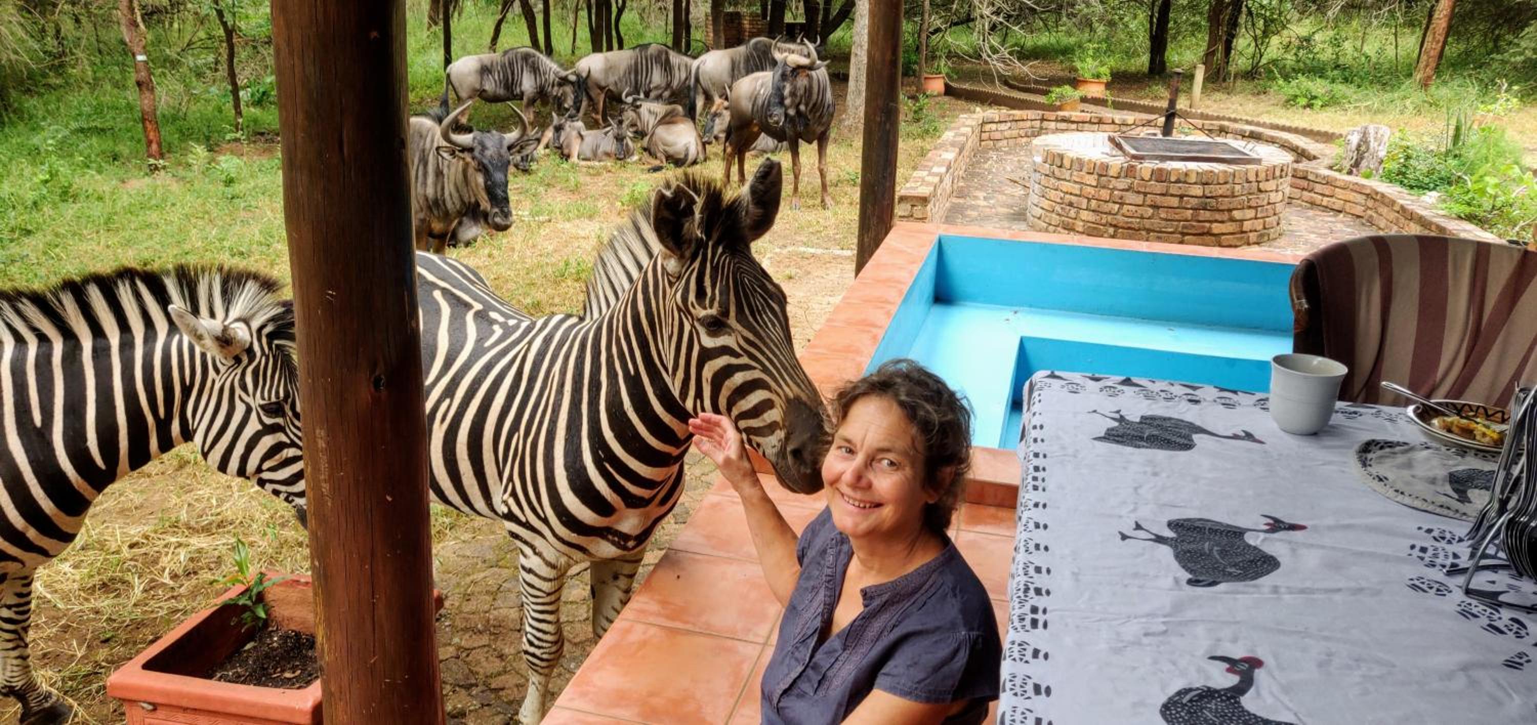 Kruger Safari Animal Encounter