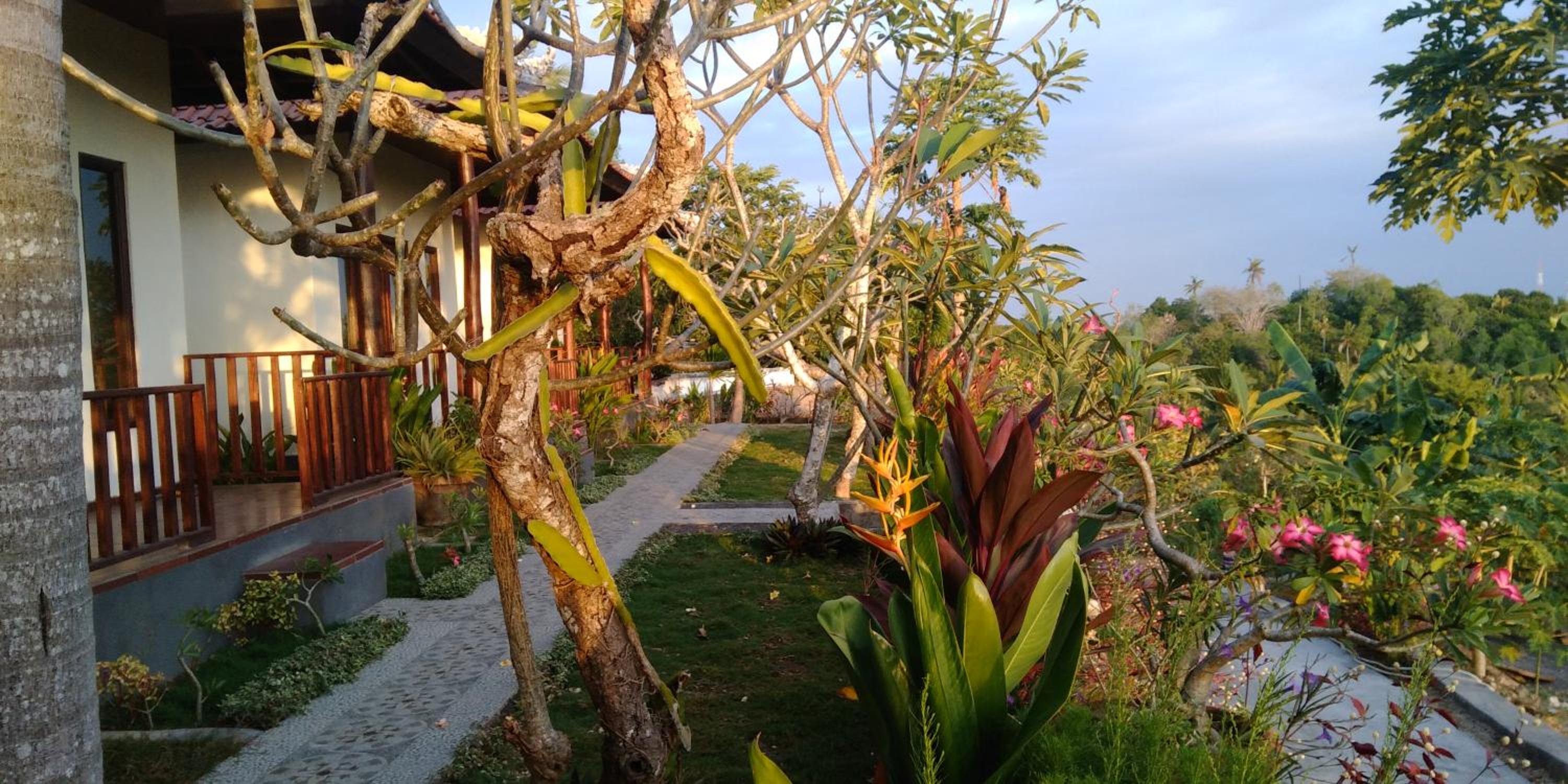 Photo 14