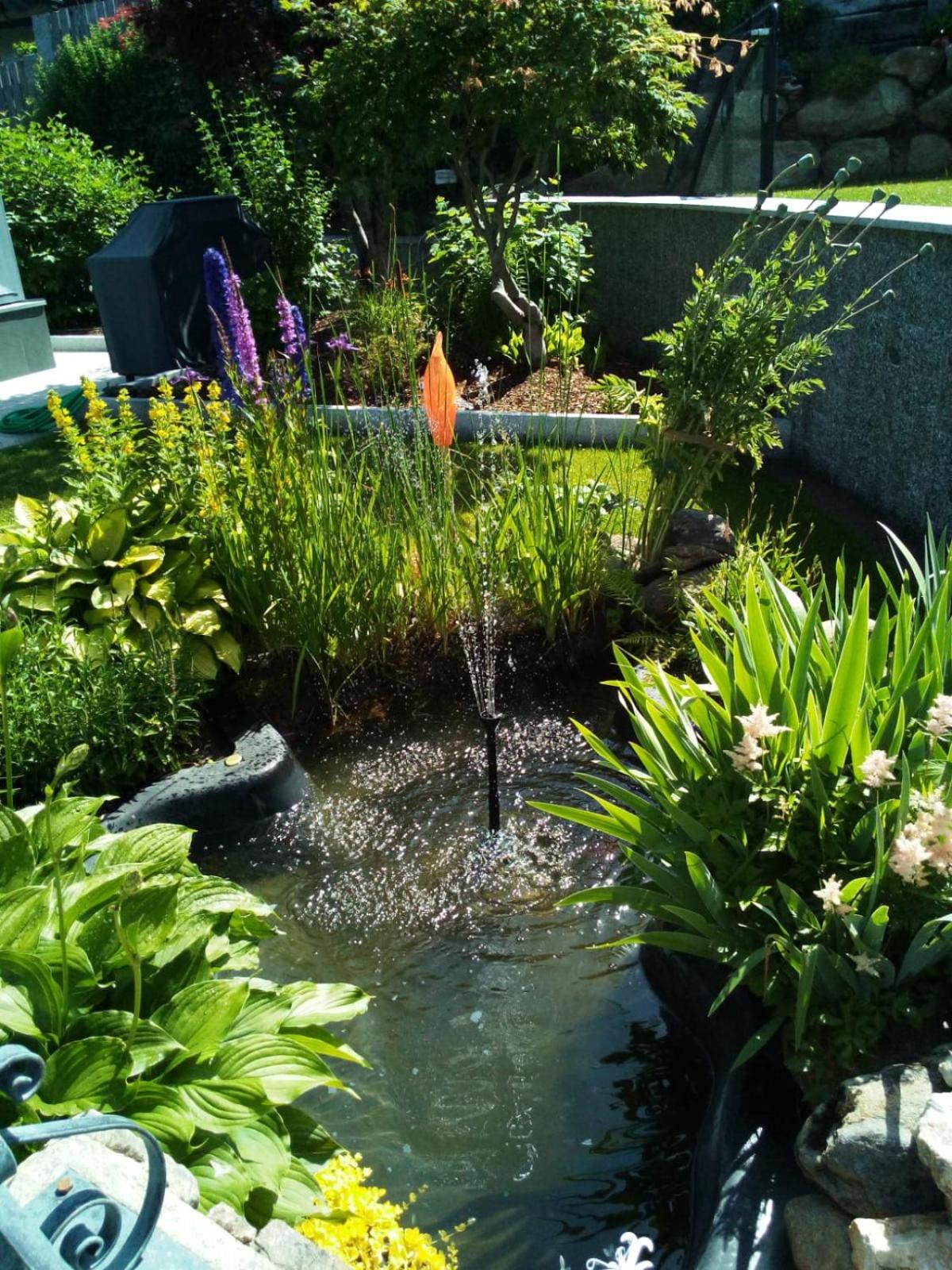 Photo 9
