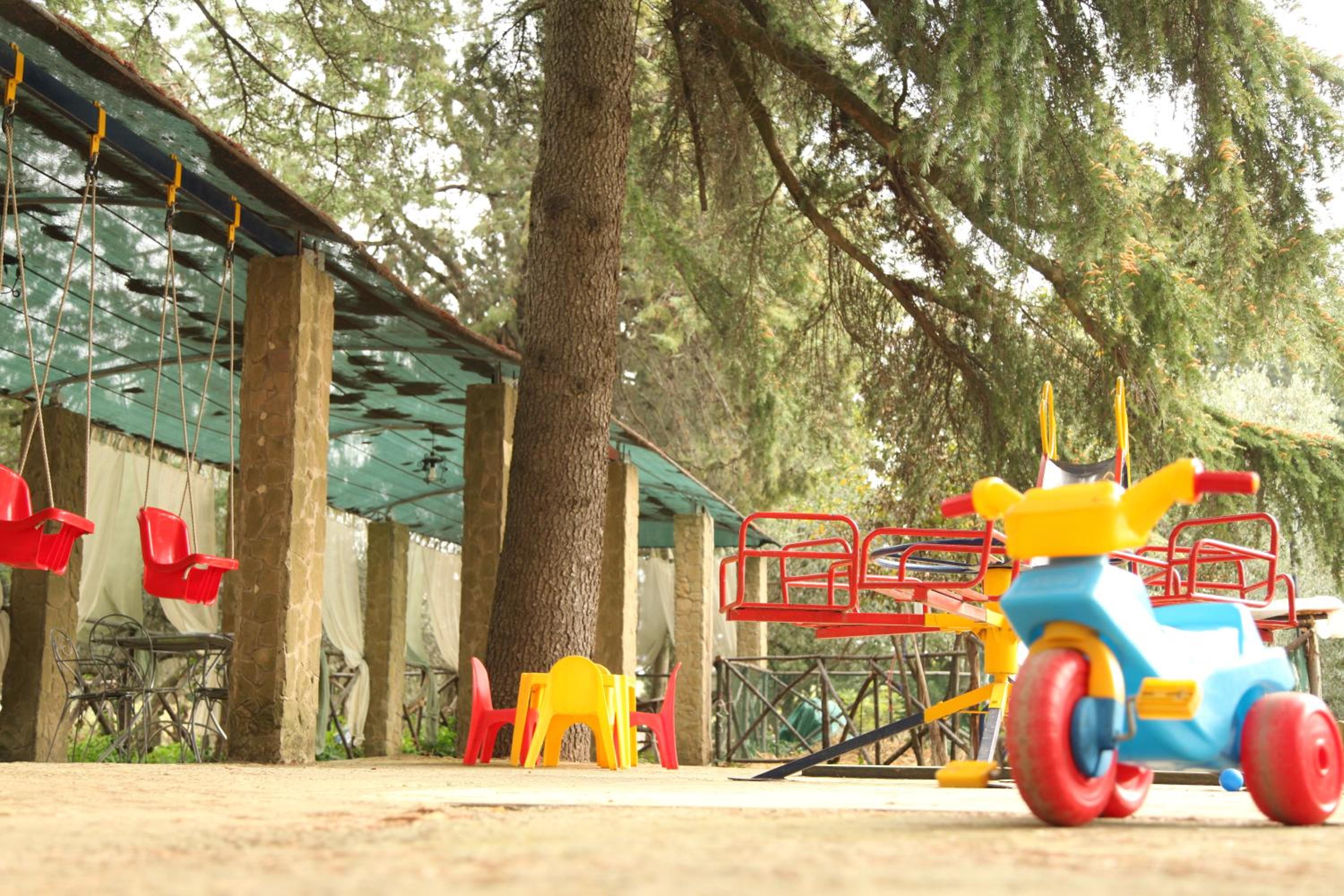 activities & amenities