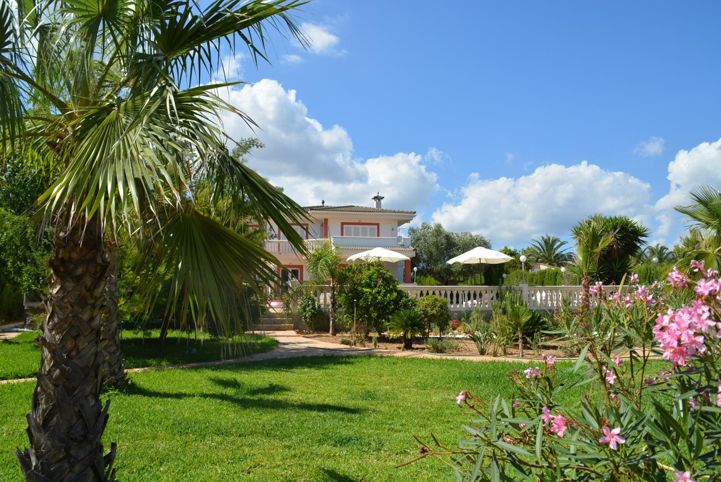 Photo 7