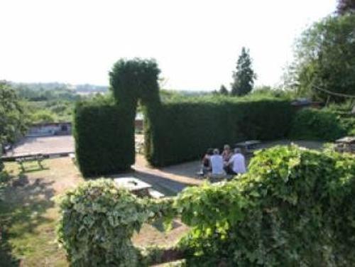 The Dog Inn view 4