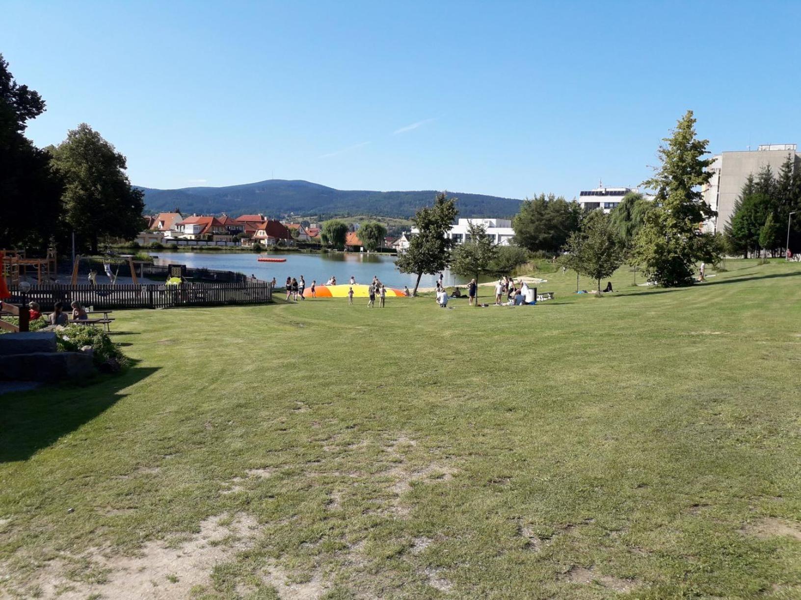 Photo 11