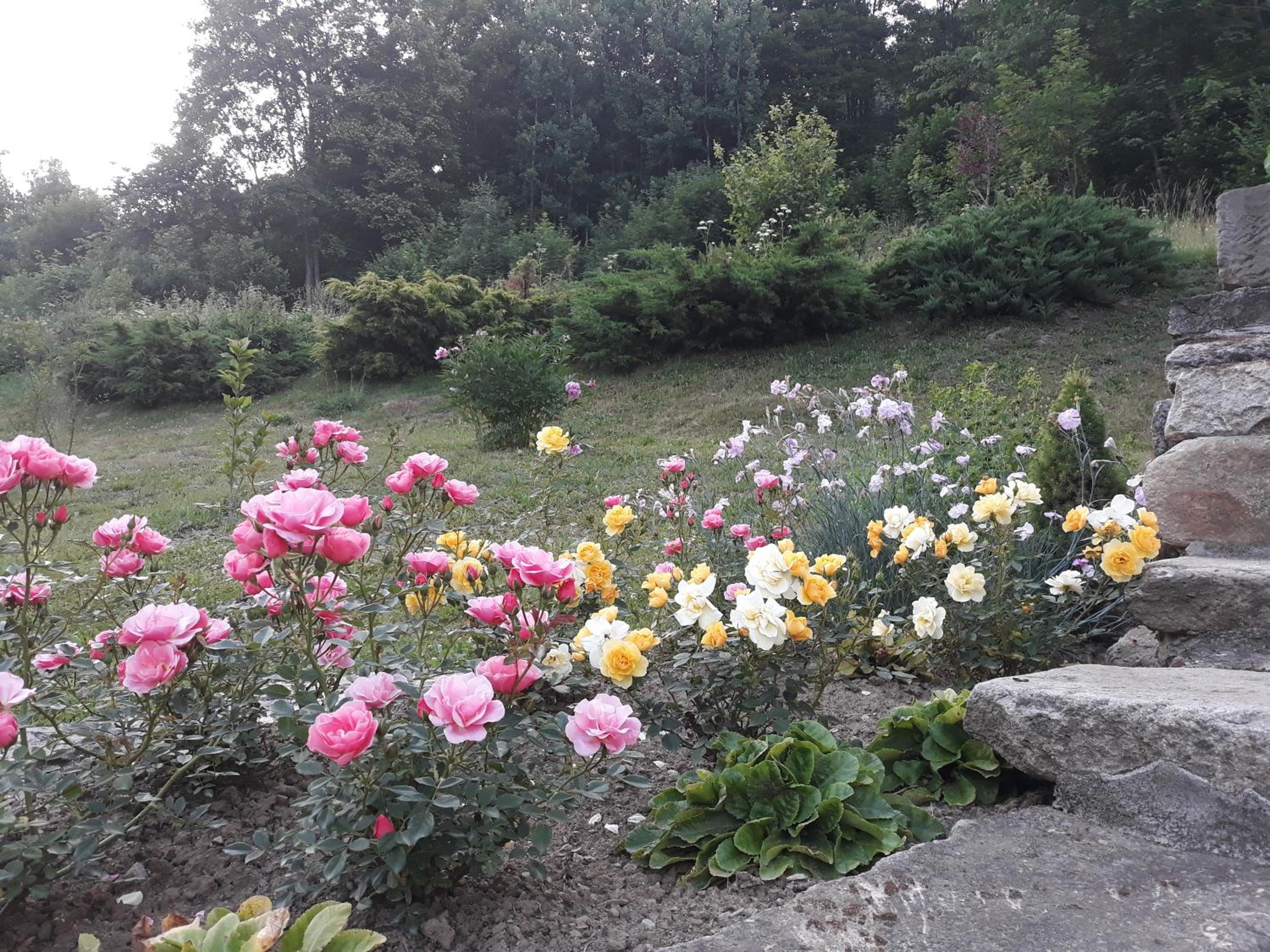 Photo 22