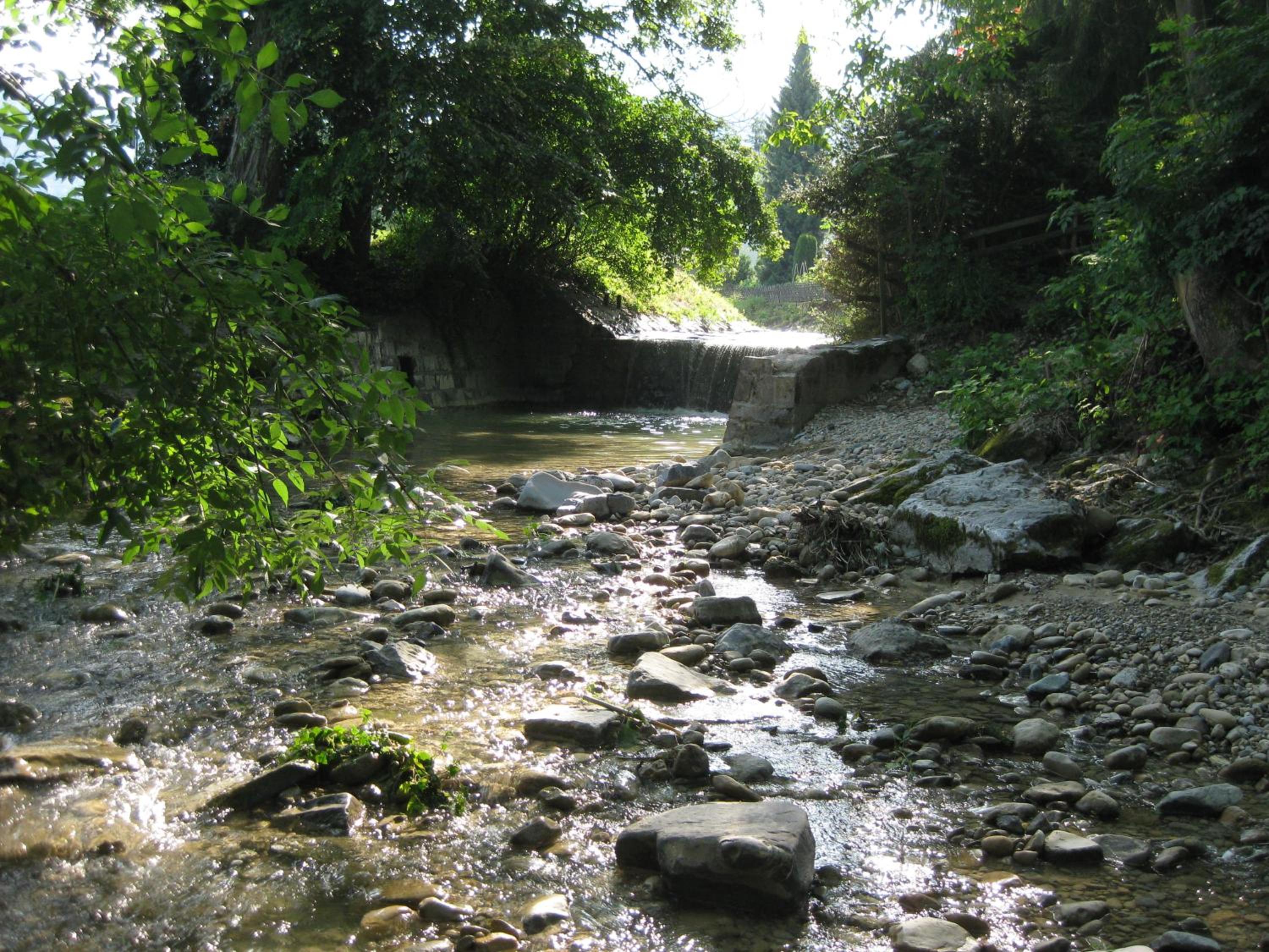 Photo 26
