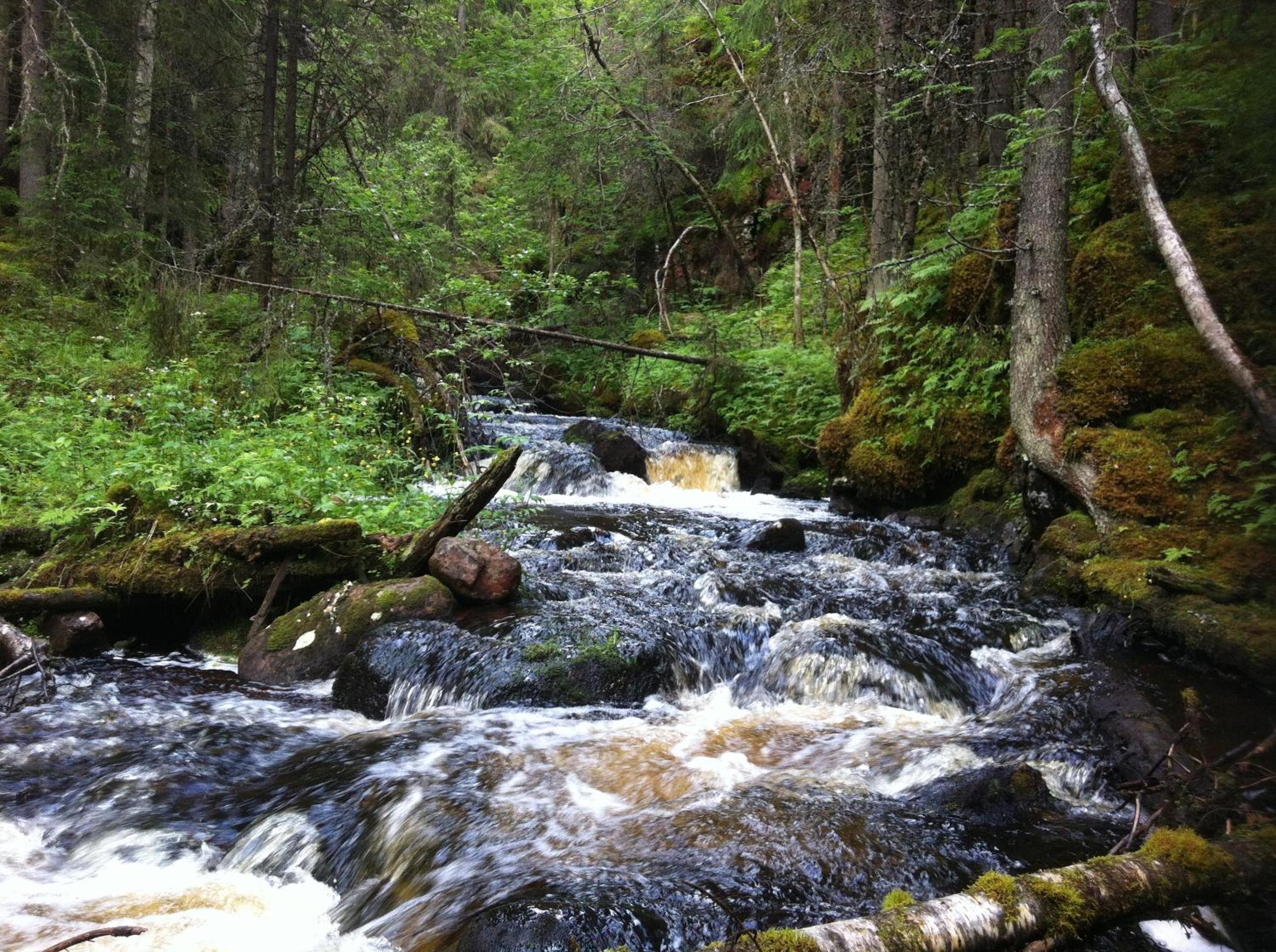 Prinsgården B&B rum stugor, photo 97