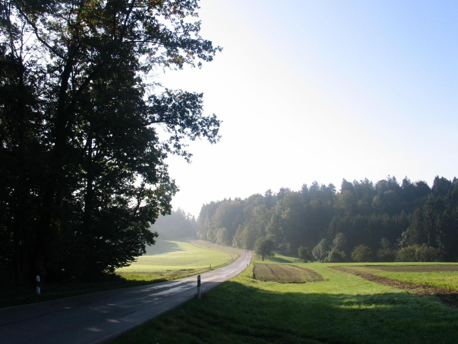 Gasthof Birkenhof