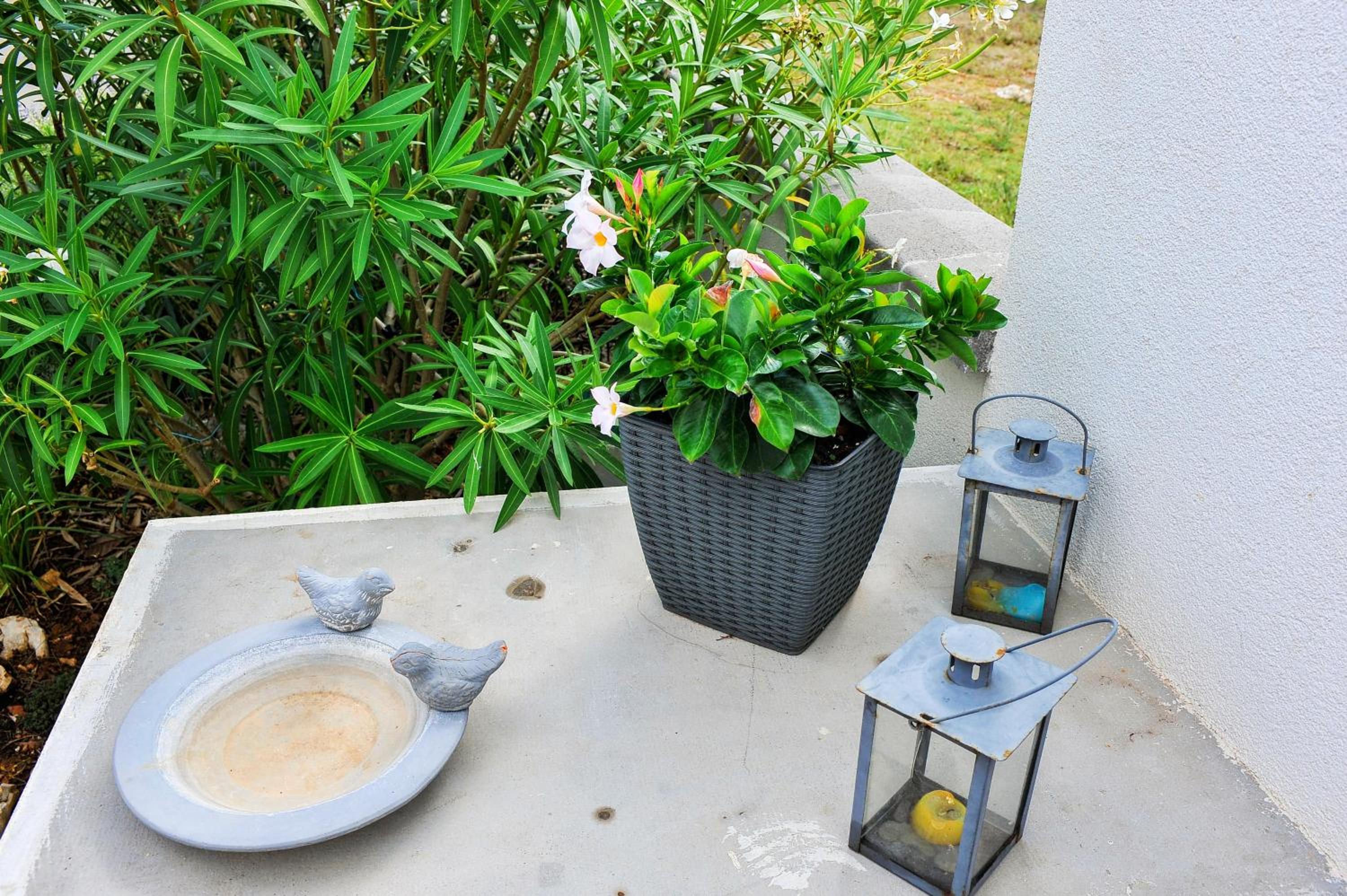 APARTMENT SECRET GARDEN 2 photo 5