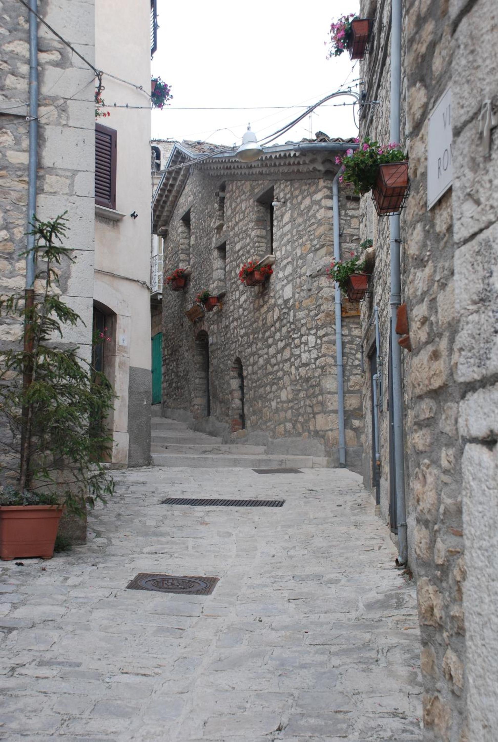 Photo 47