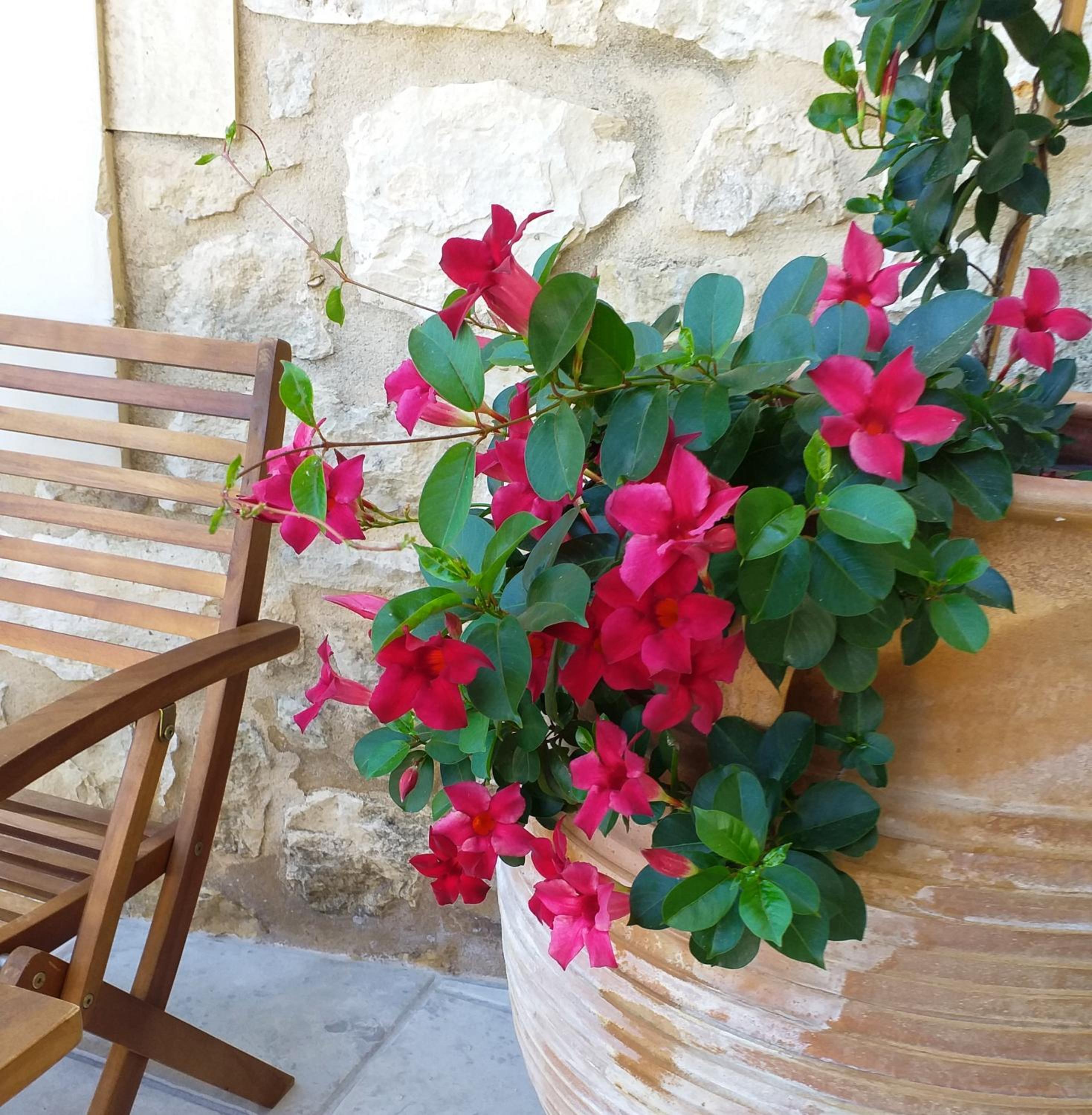 Villa Kaladare - Private Pool & Quiet Relaxing Stay