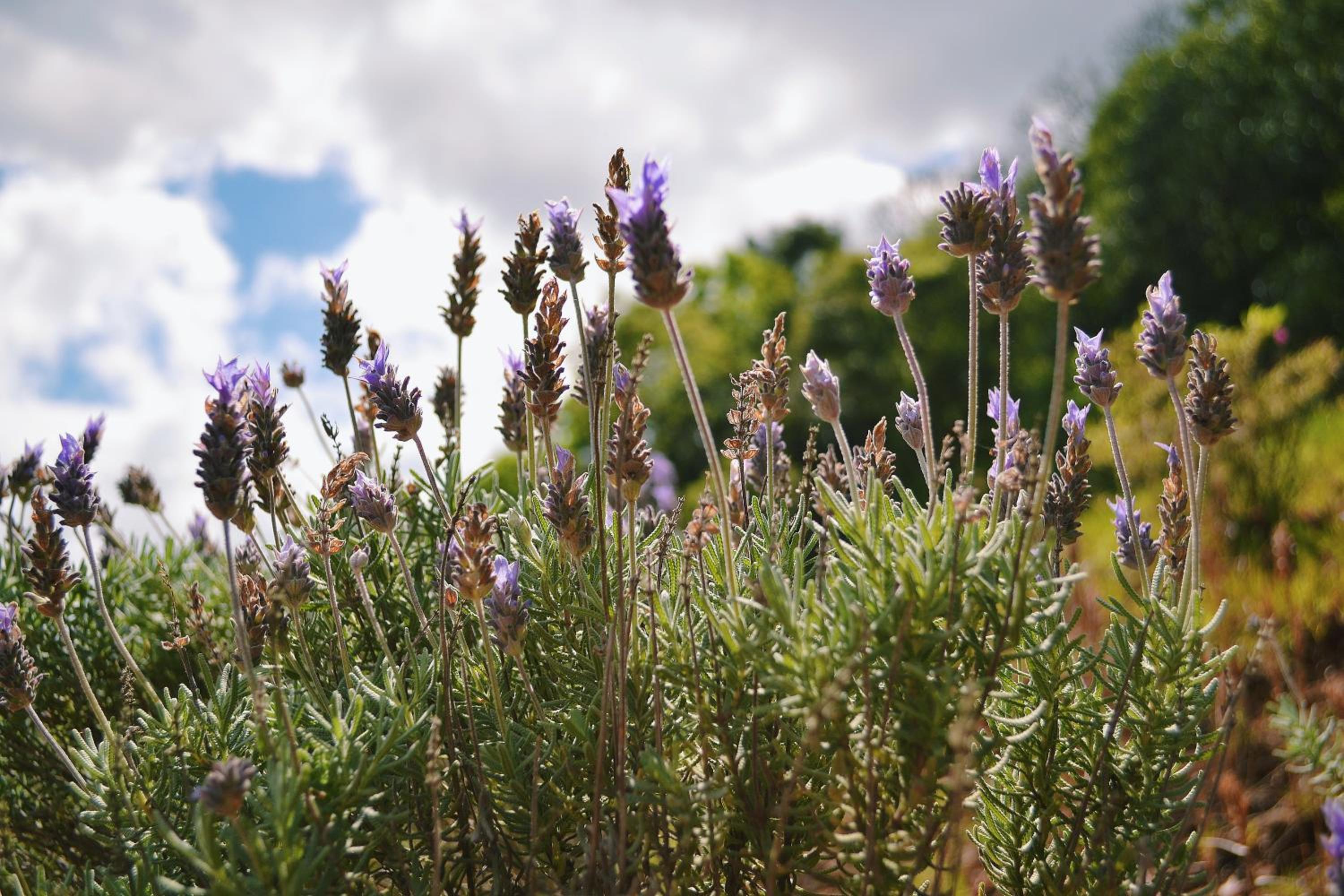 Pousada La Vista