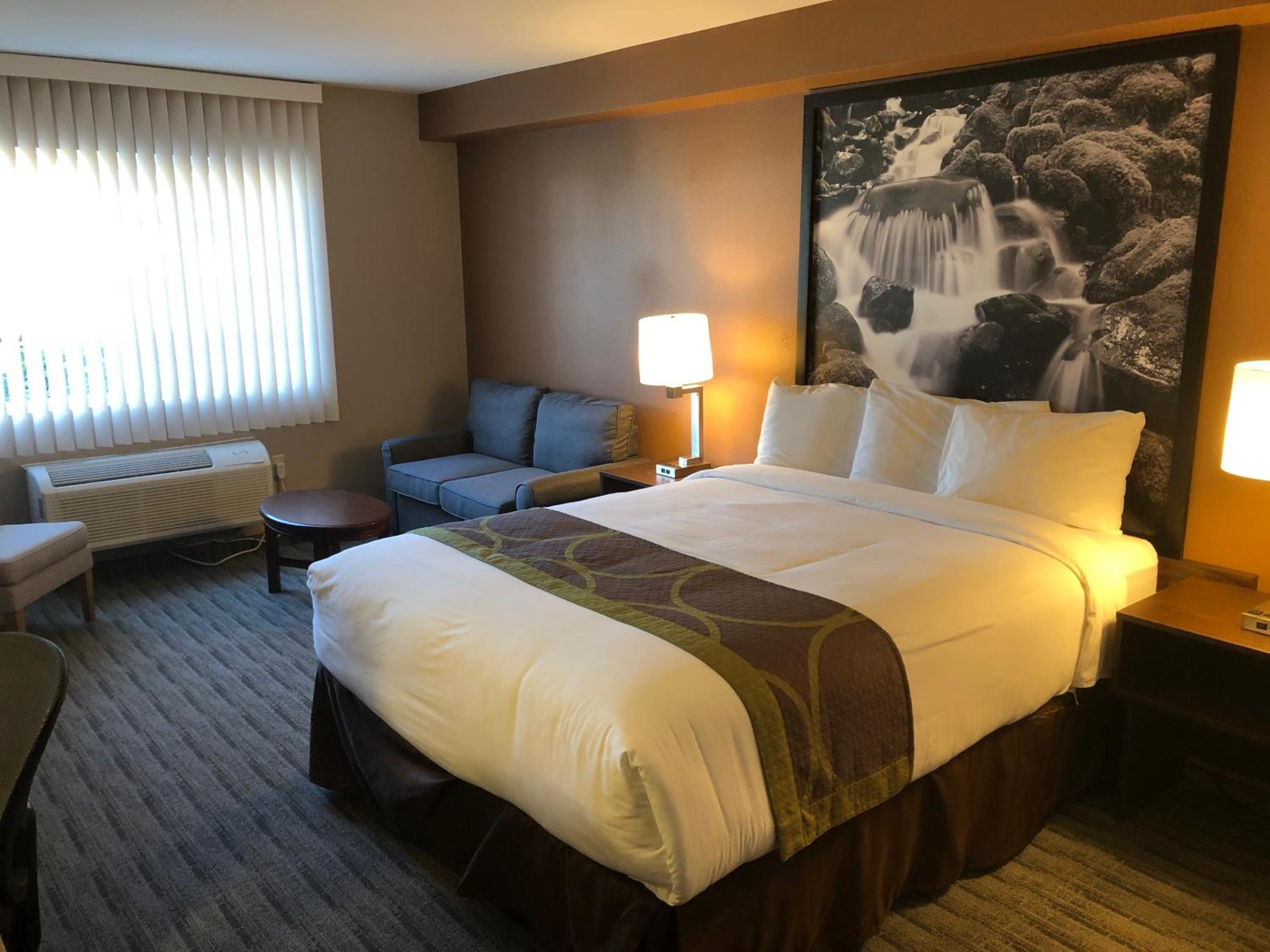 Super 8 by Wyndham Lynnwood - Property Image 5